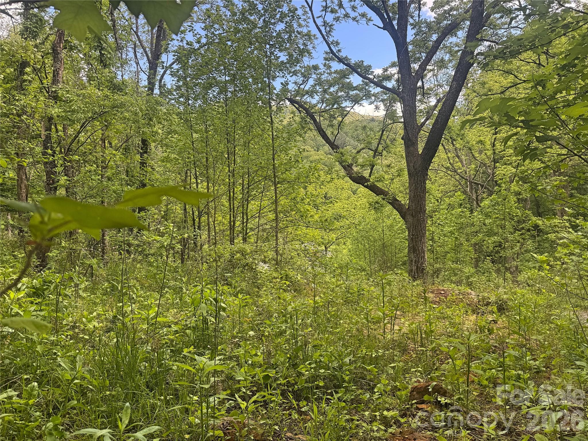 Acreage at V/L Wolf Crossing, Bakersville, photo 12 of 16