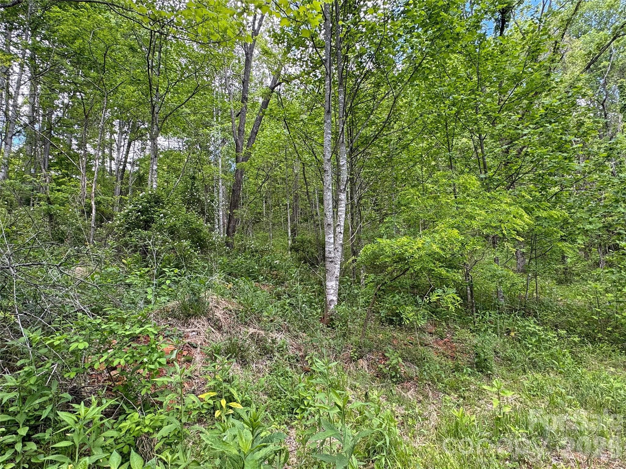 Acreage at V/L Wolf Crossing, Bakersville, photo 15 of 16