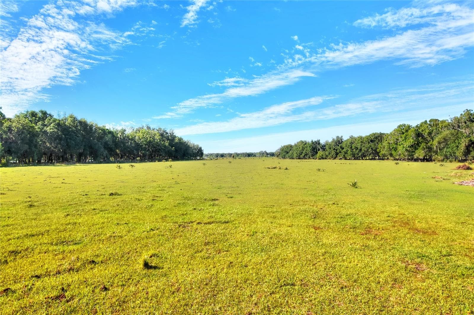 Land at 18100 DORMAN RD, LITHIA, photo 2 of 14