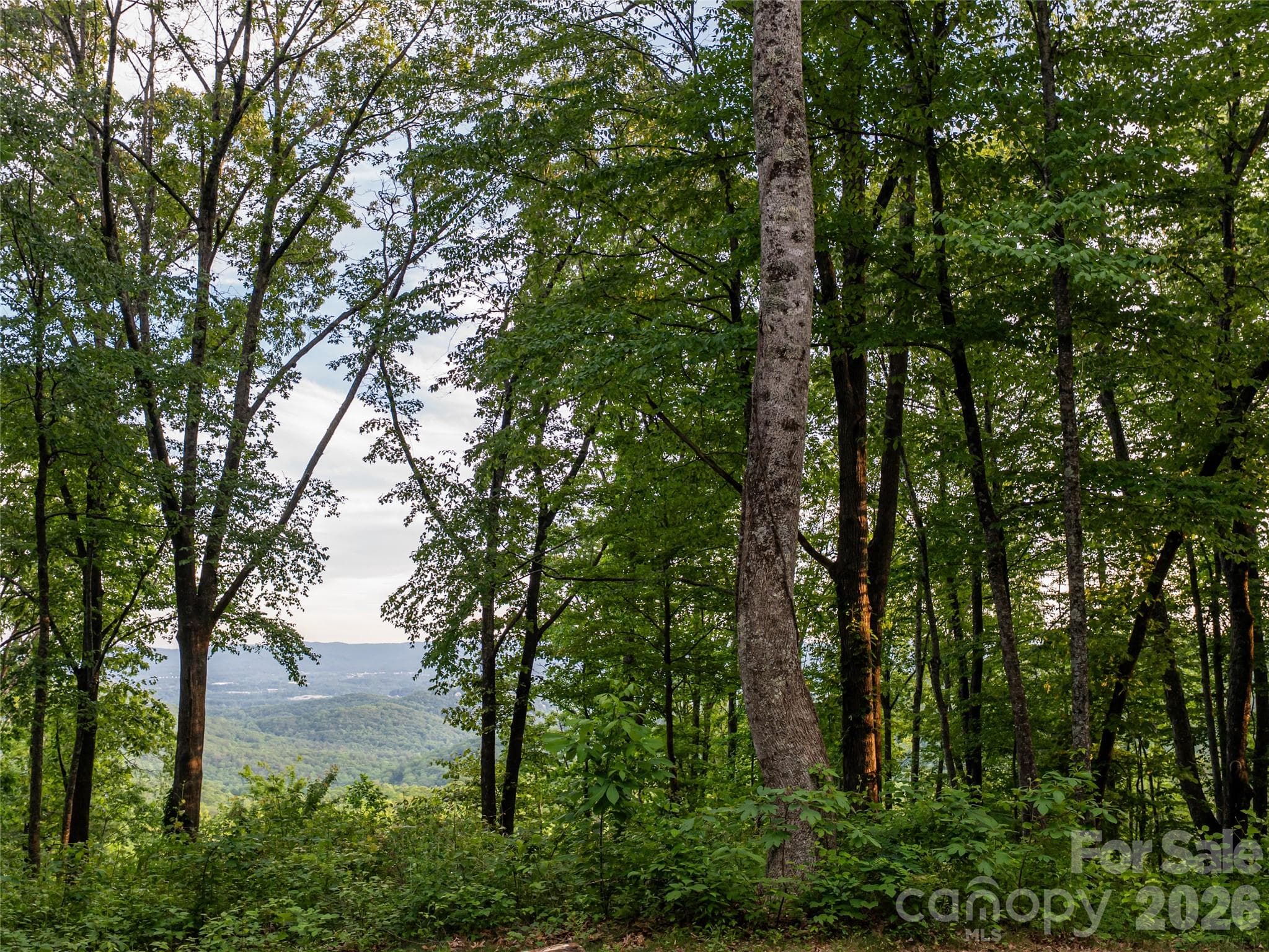 Lot at 000 New Sprout Lane, Hendersonville, photo 5 of 35