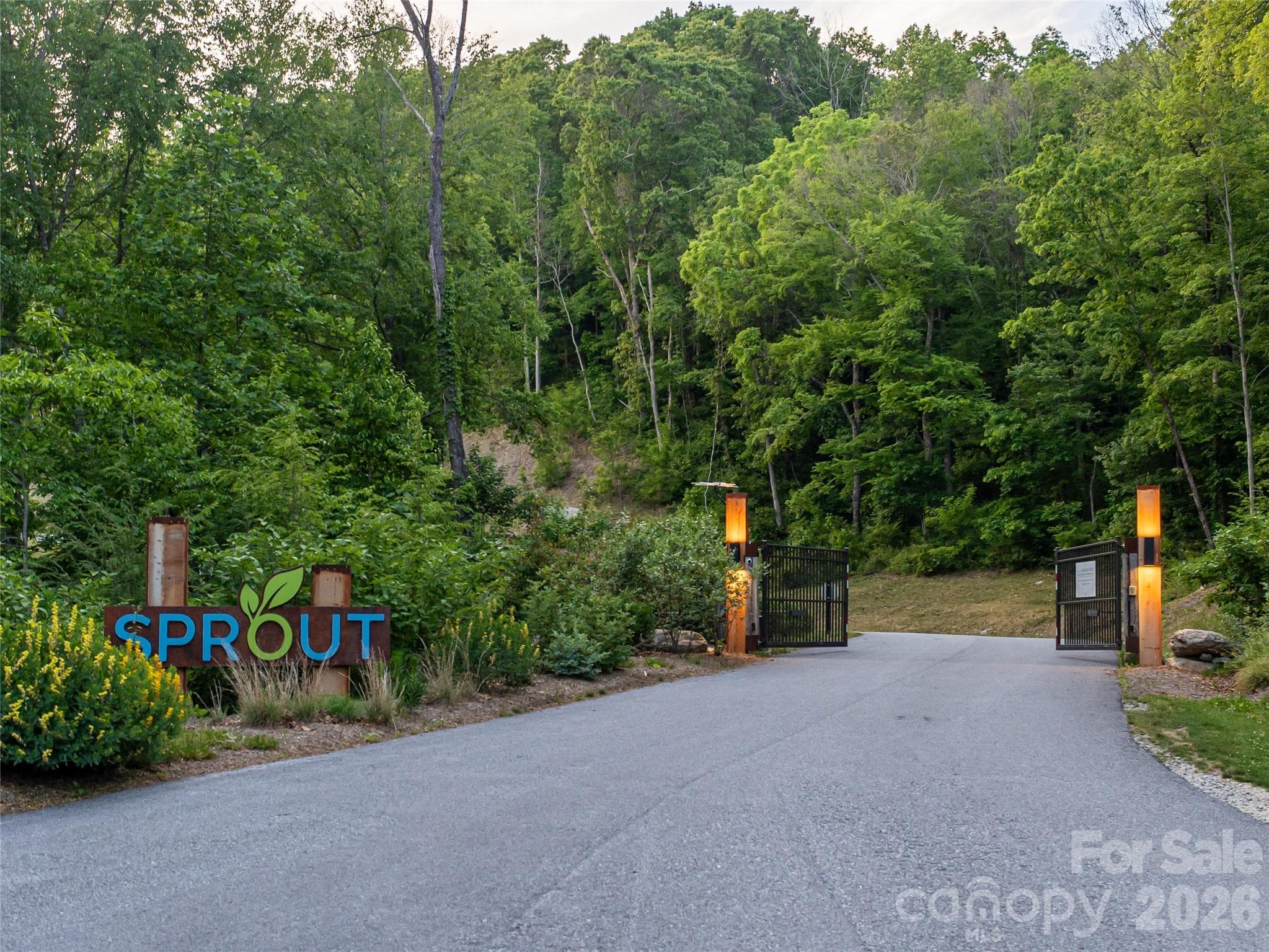 Lot at 000 New Sprout Lane, Hendersonville, photo 12 of 35