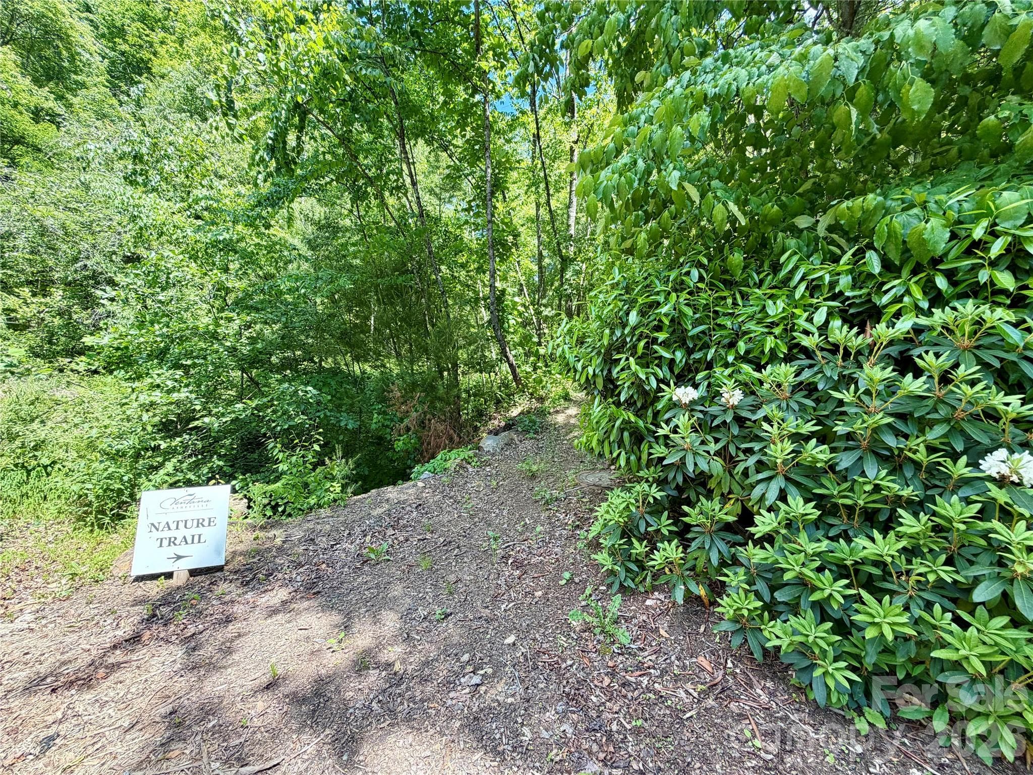 Acreage at Asheville, photo 12 of 20
