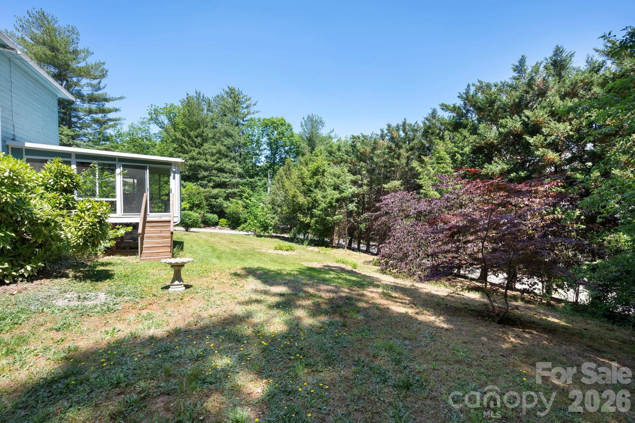 Big yard with lots of mature trees - 109 Lovers Loop Road, Asheville