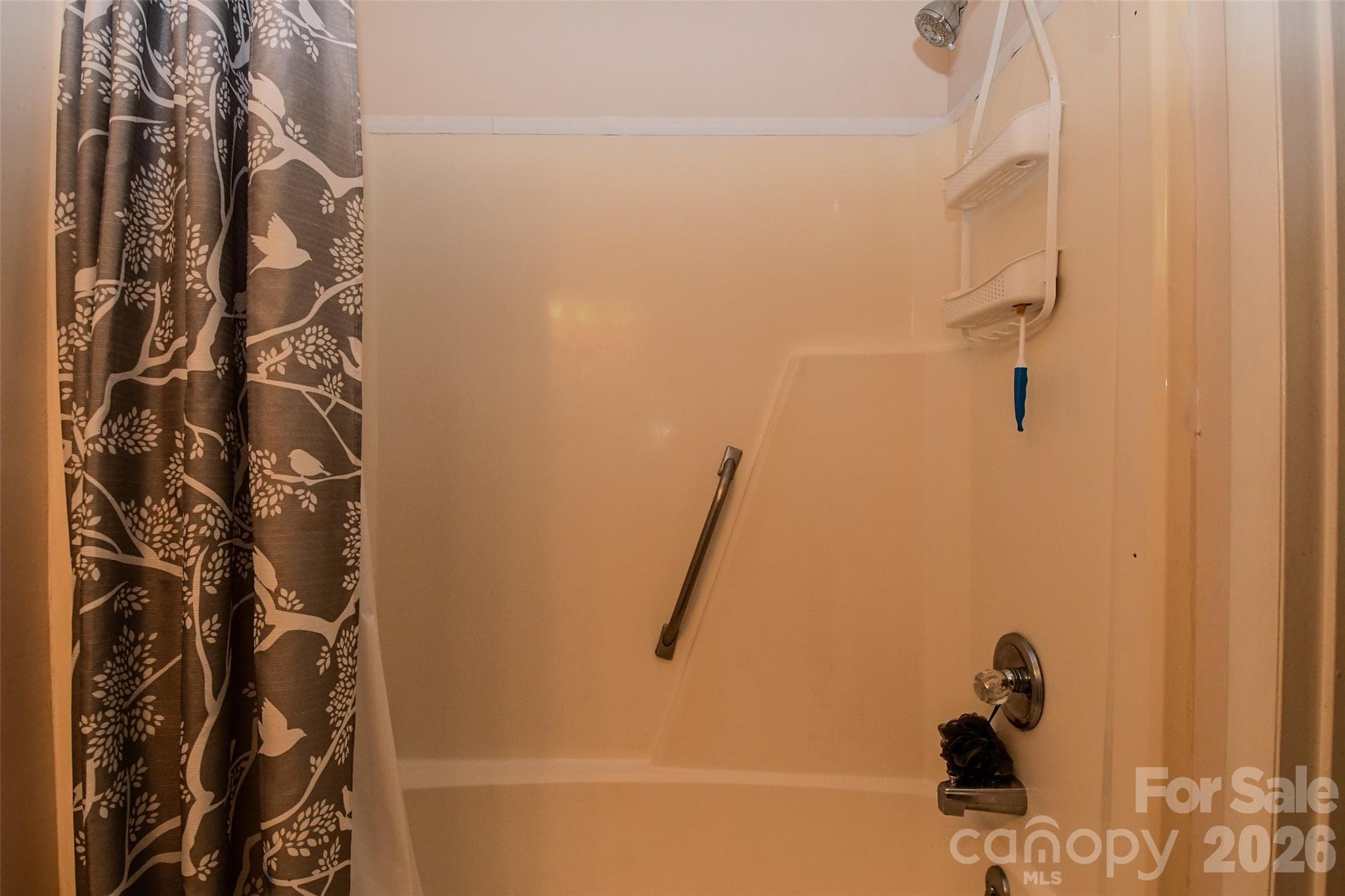 Condominium at Gastonia, photo 5 of 14