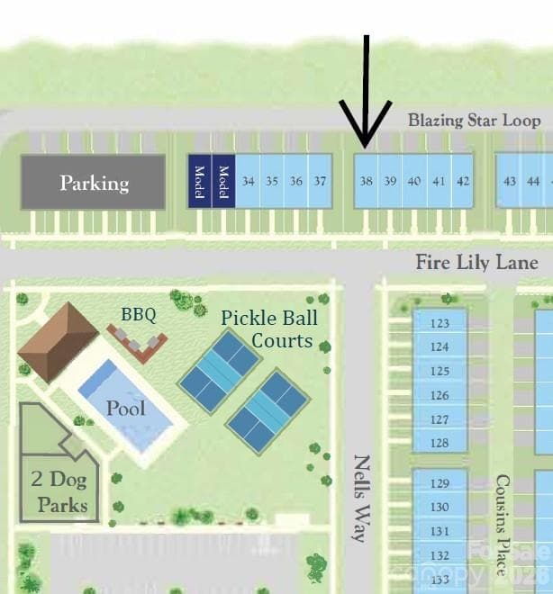 Site Map of Homesite 38 - 6557 Fire Lily Lane - Charlotte