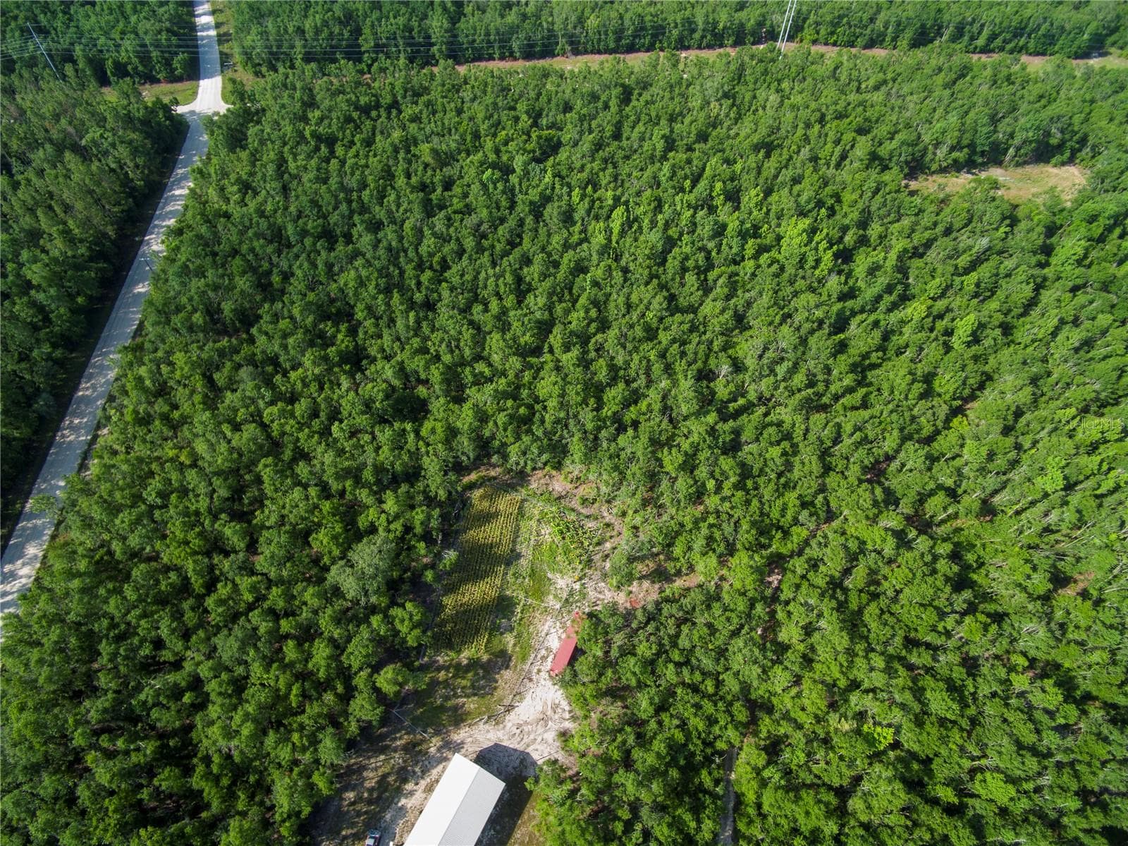 Land at 18233 185TH RD, LIVE OAK, photo 5 of 96