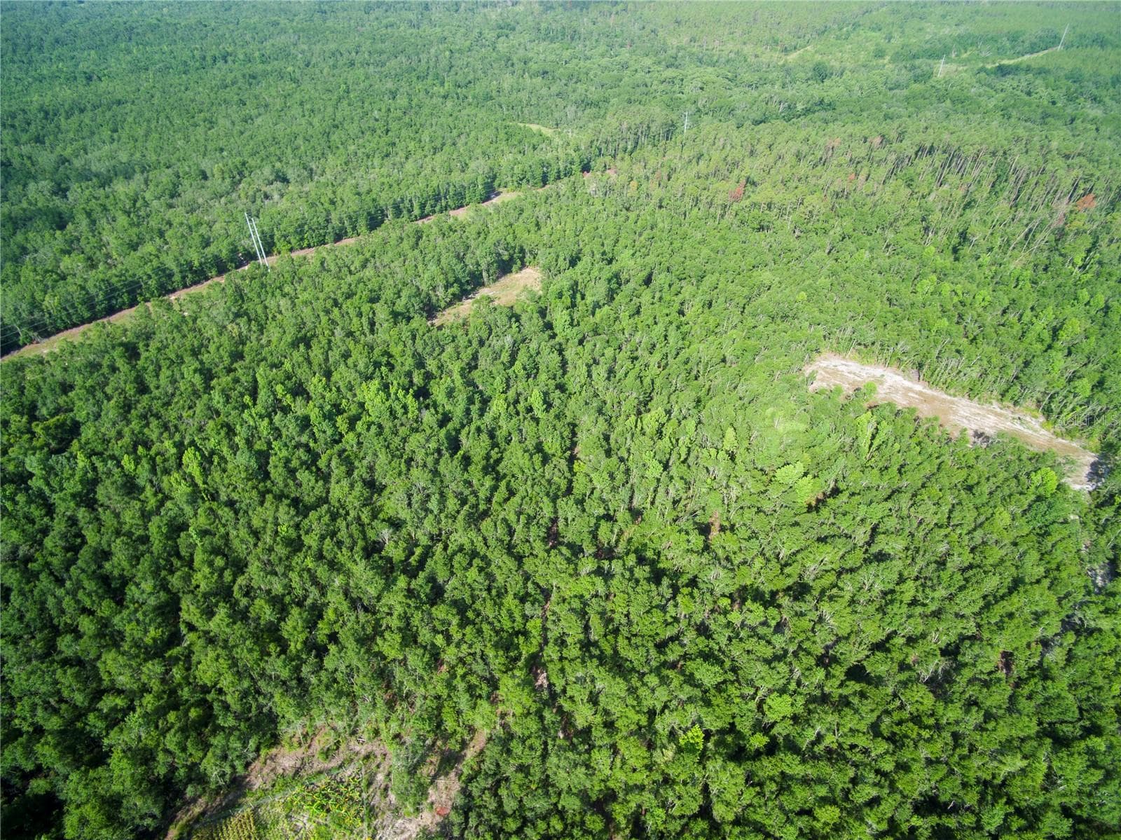 Land at 18233 185TH RD, LIVE OAK, photo 93 of 96