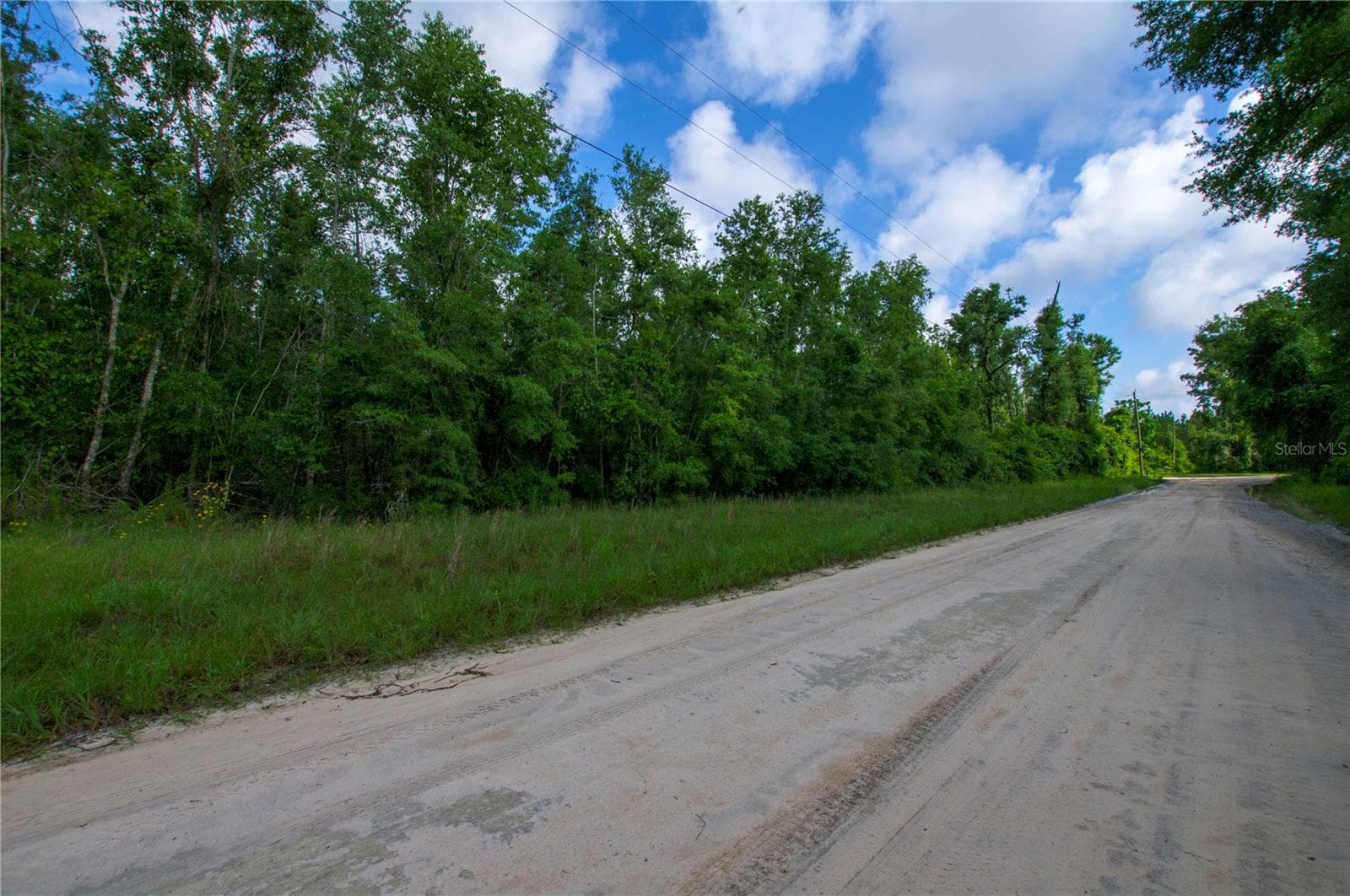 Land at 18233 185TH RD, LIVE OAK, photo 9 of 96