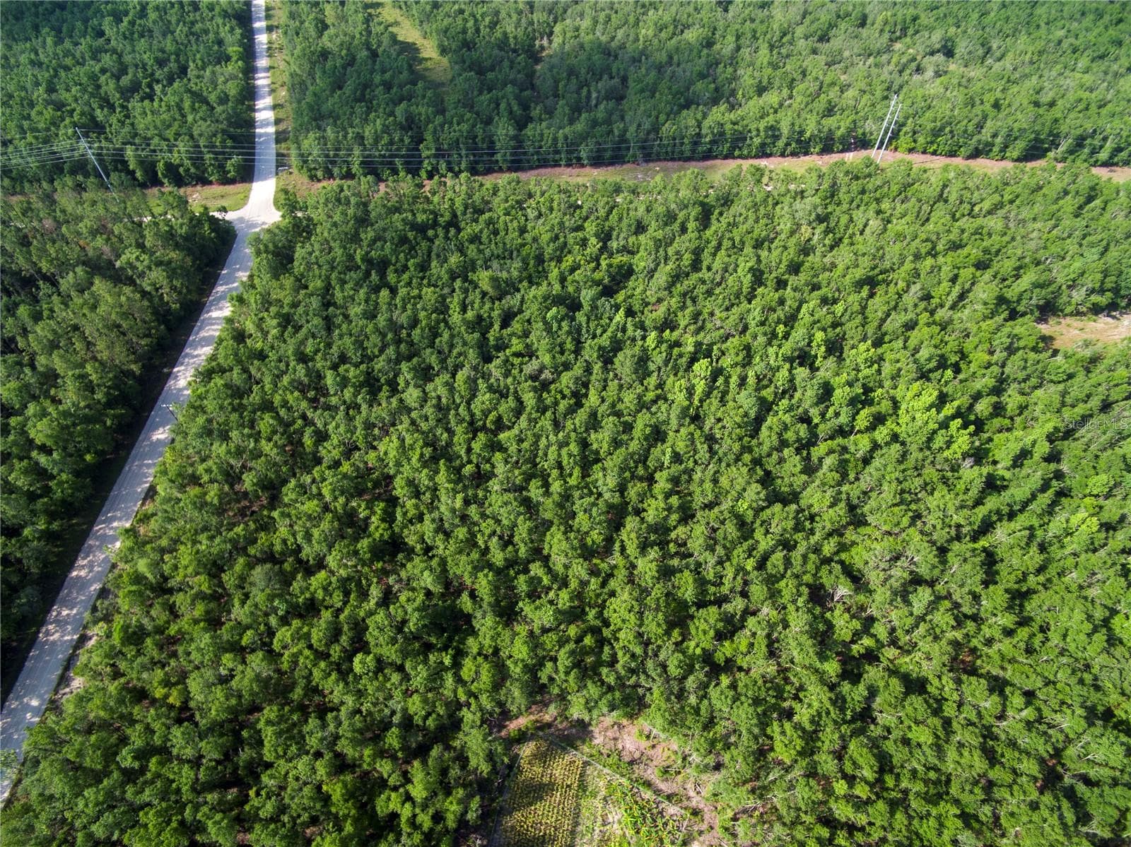 Land at 18233 185TH RD, LIVE OAK, photo 90 of 96