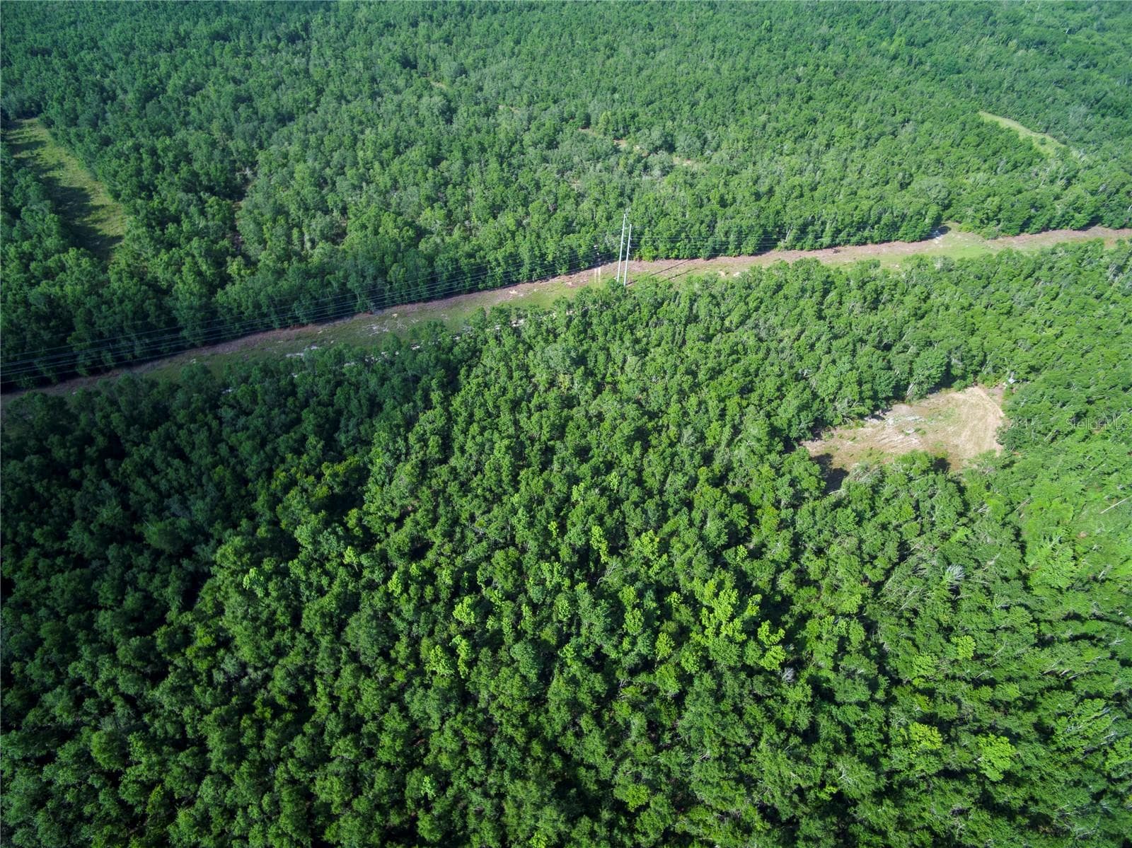 Land at 18233 185TH RD, LIVE OAK, photo 91 of 96