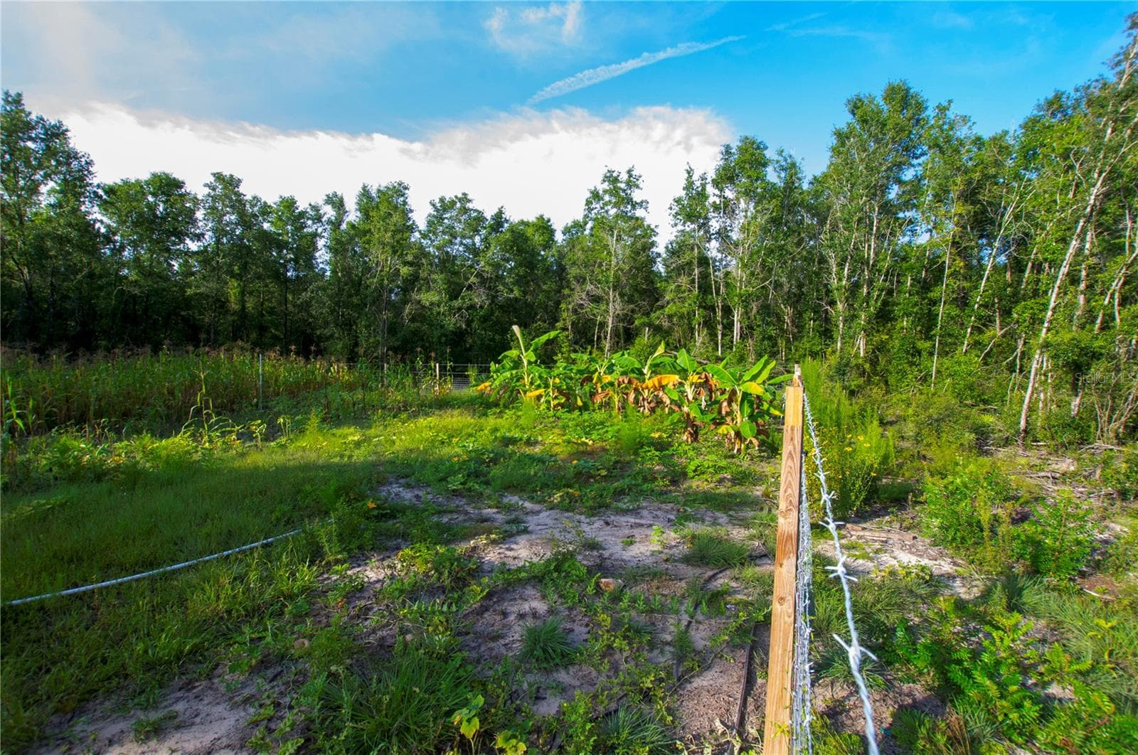 Land at 18233 185TH RD, LIVE OAK, photo 39 of 96