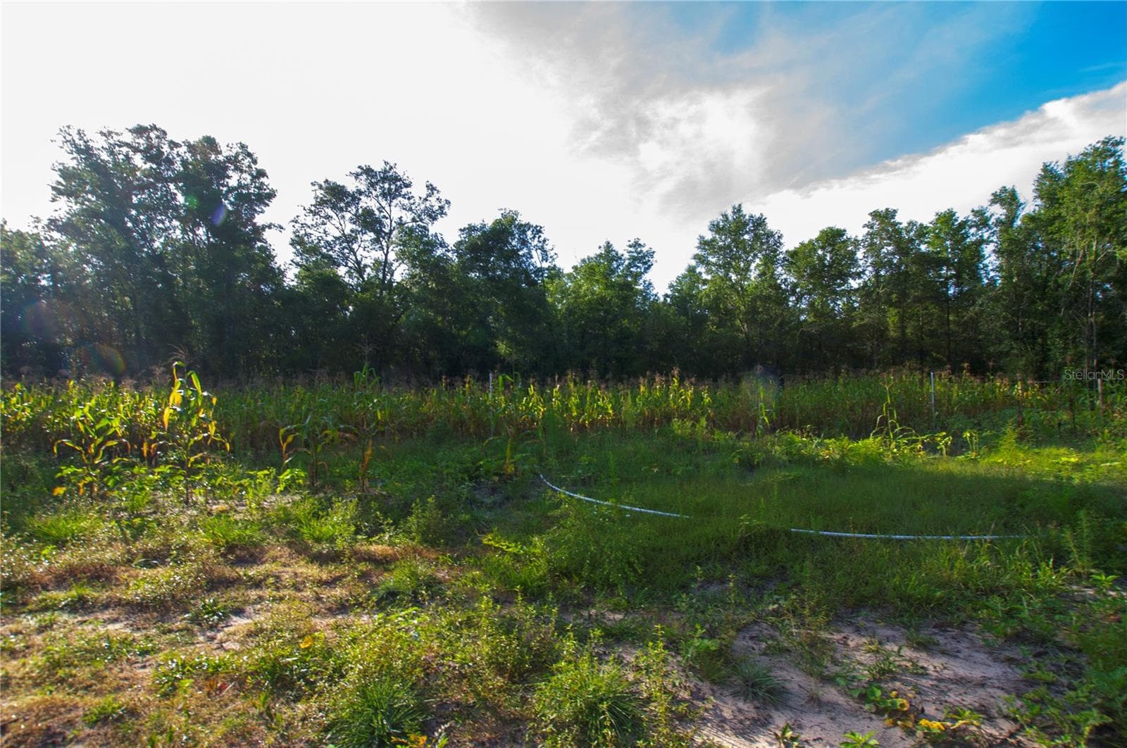 Land at 18233 185TH RD, LIVE OAK, photo 40 of 96