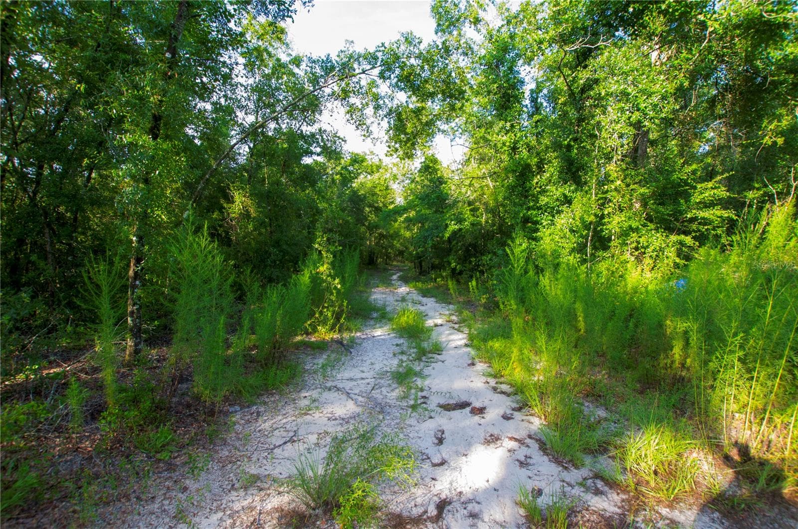 Land at 18233 185TH RD, LIVE OAK, photo 41 of 96