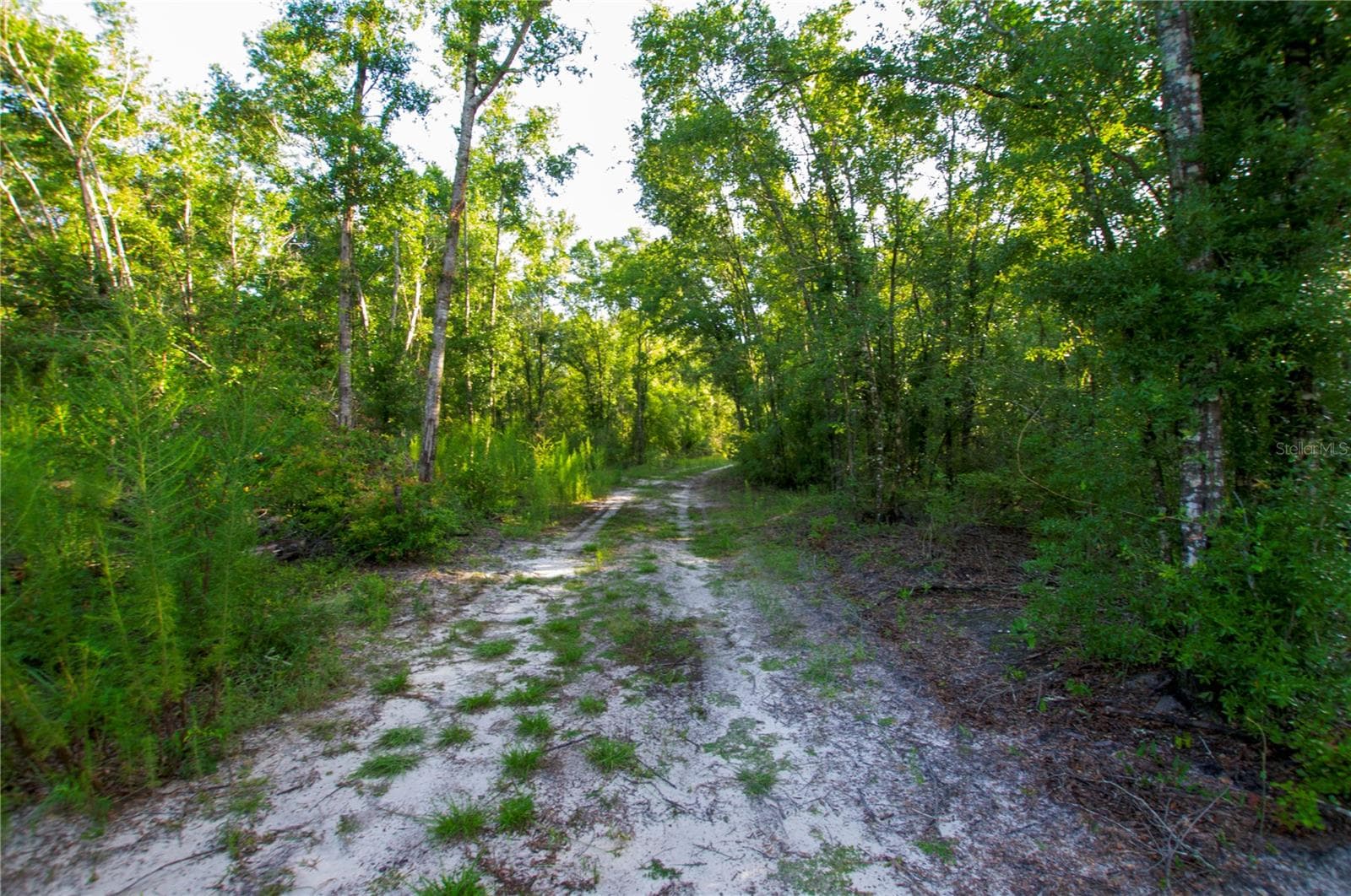 Land at 18233 185TH RD, LIVE OAK, photo 42 of 96