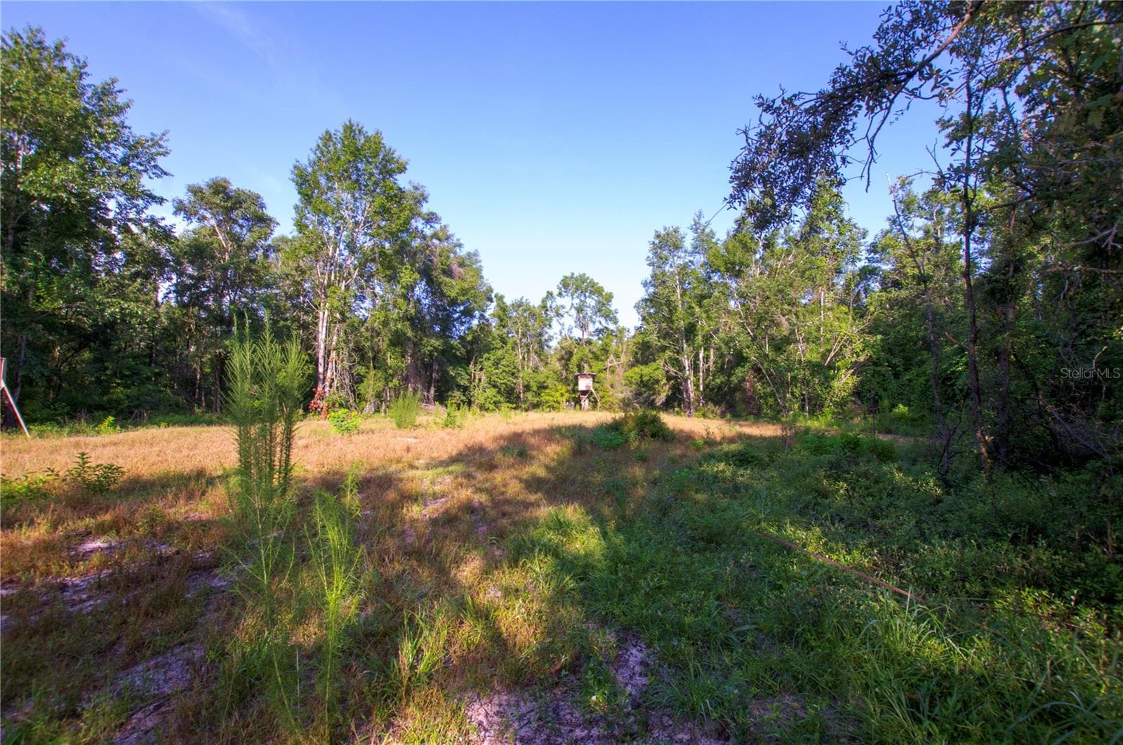 Land at 18233 185TH RD, LIVE OAK, photo 43 of 96