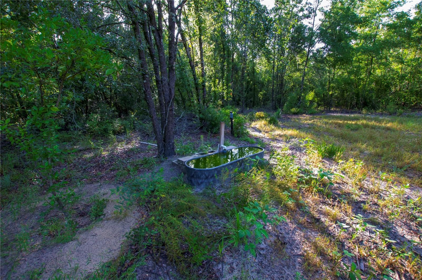 Land at 18233 185TH RD, LIVE OAK, photo 45 of 96