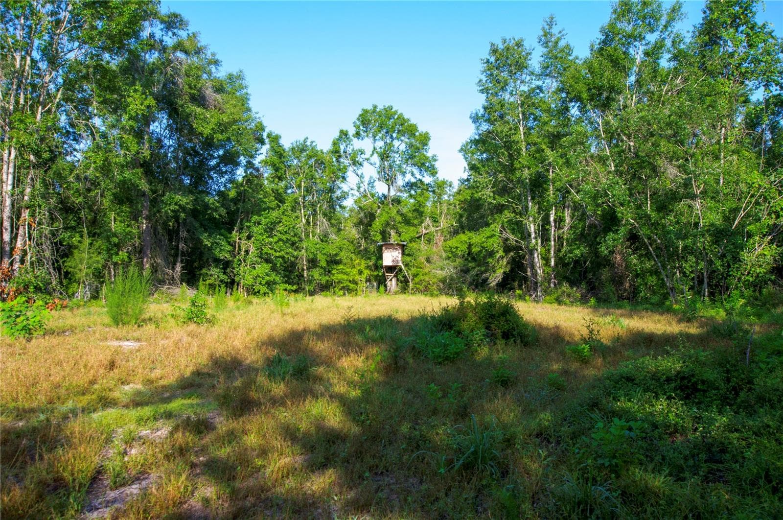 Land at 18233 185TH RD, LIVE OAK, photo 46 of 96
