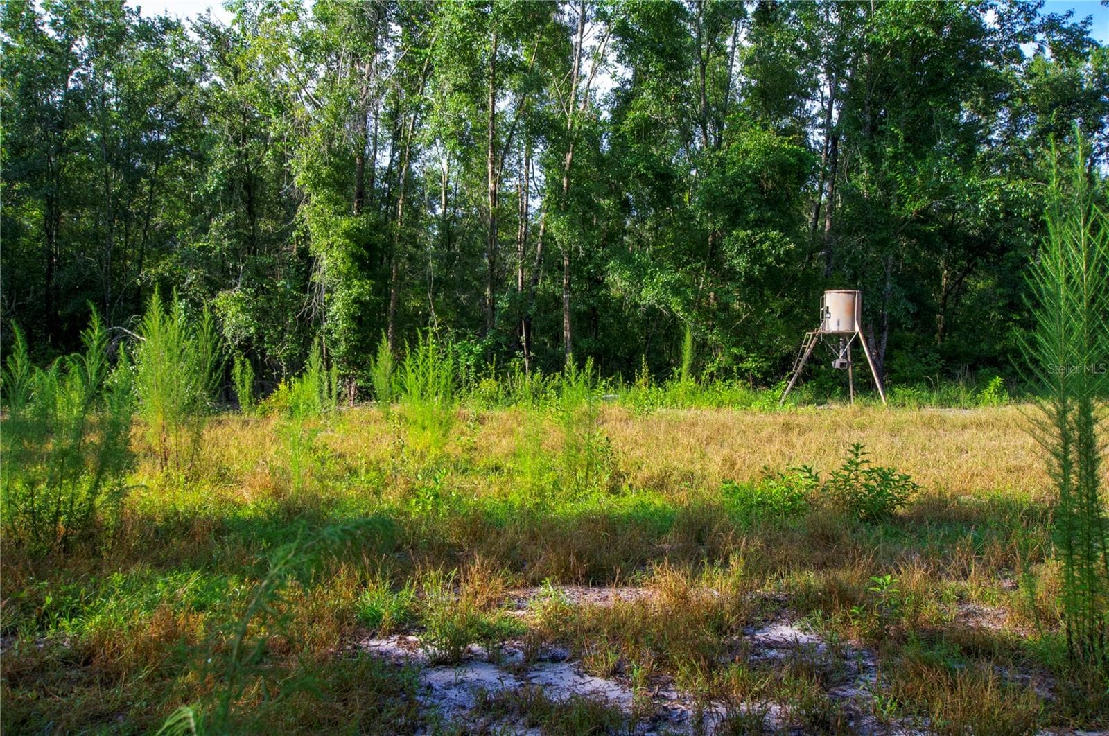 Land at 18233 185TH RD, LIVE OAK, photo 47 of 96