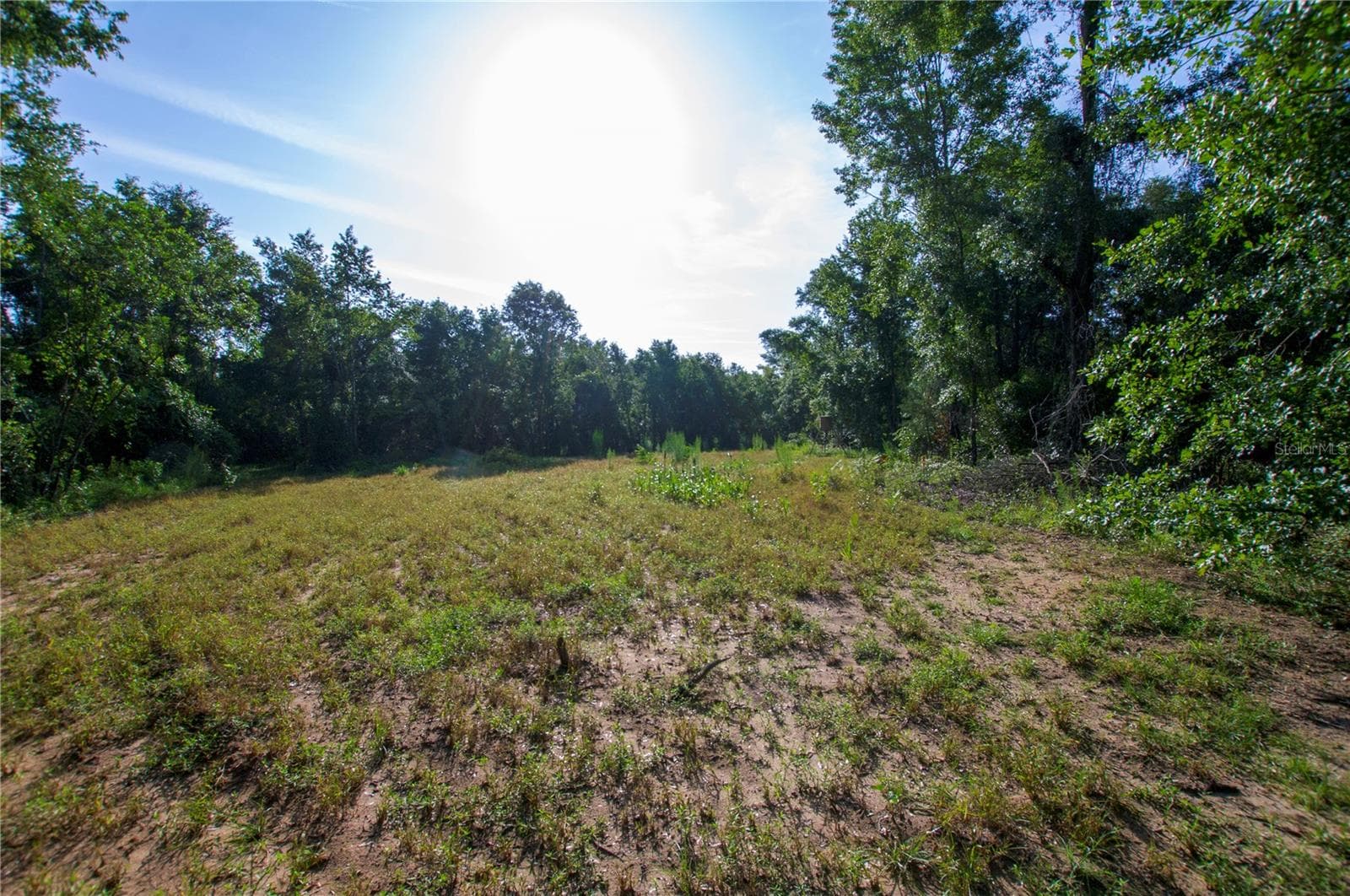 Land at 18233 185TH RD, LIVE OAK, photo 48 of 96