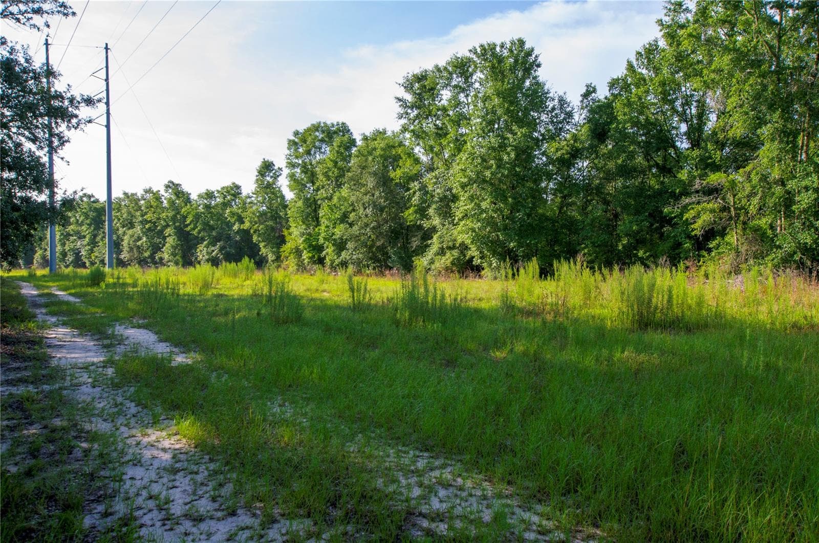 Land at 18233 185TH RD, LIVE OAK, photo 49 of 96