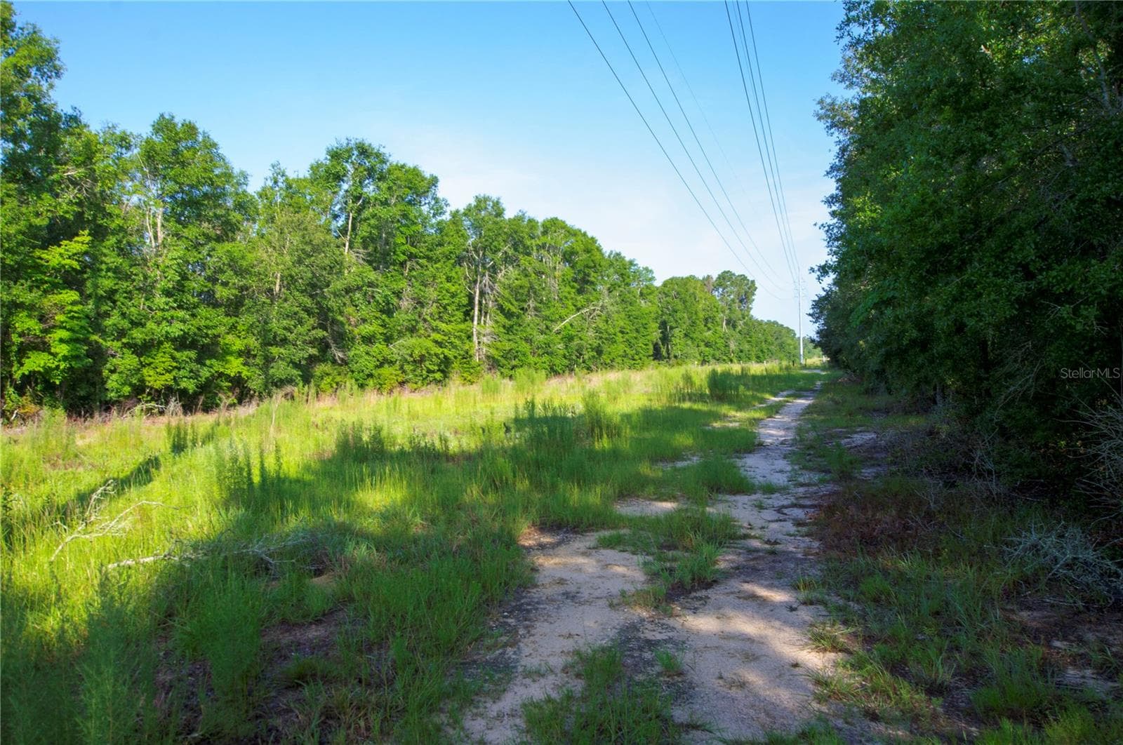 Land at 18233 185TH RD, LIVE OAK, photo 50 of 96