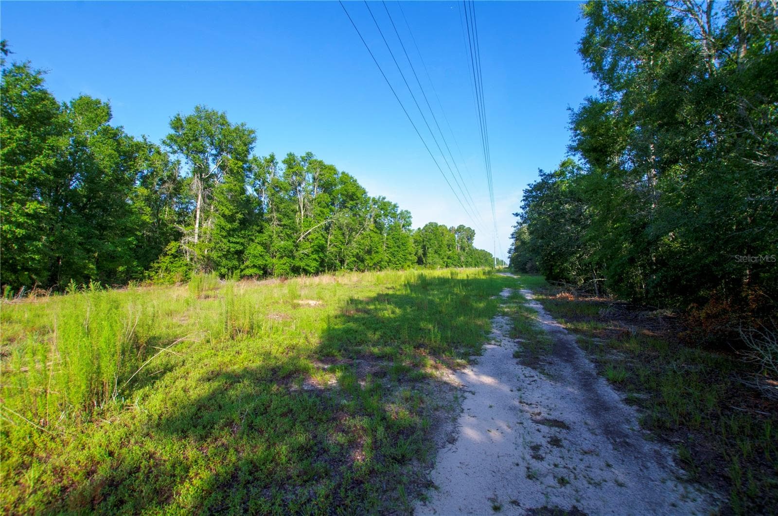 Land at 18233 185TH RD, LIVE OAK, photo 51 of 96
