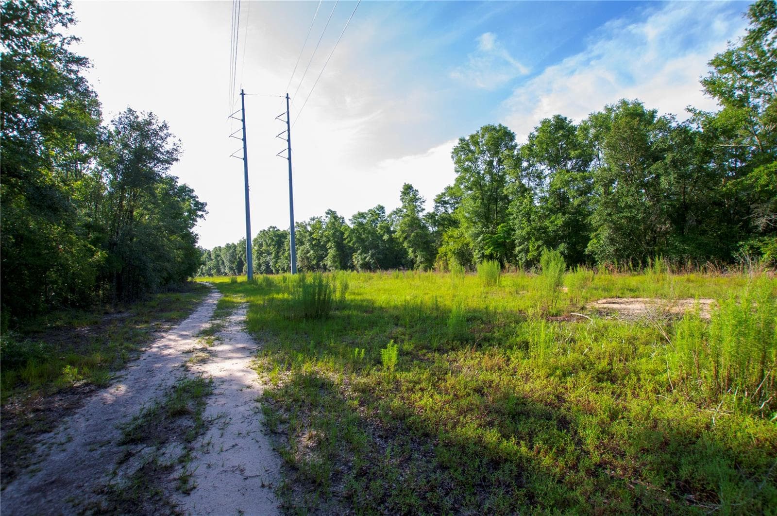Land at 18233 185TH RD, LIVE OAK, photo 52 of 96
