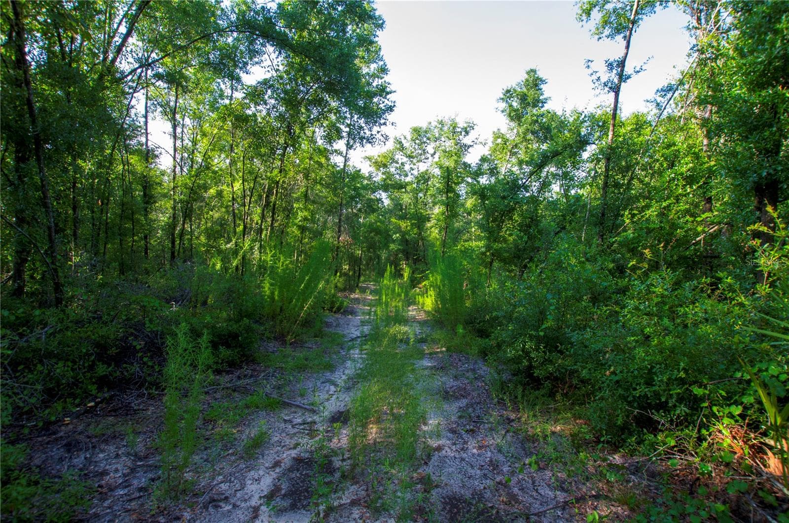 Land at 18233 185TH RD, LIVE OAK, photo 53 of 96