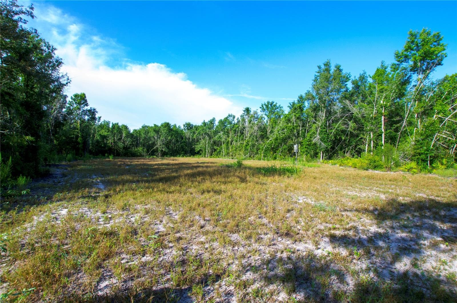 Land at 18233 185TH RD, LIVE OAK, photo 54 of 96