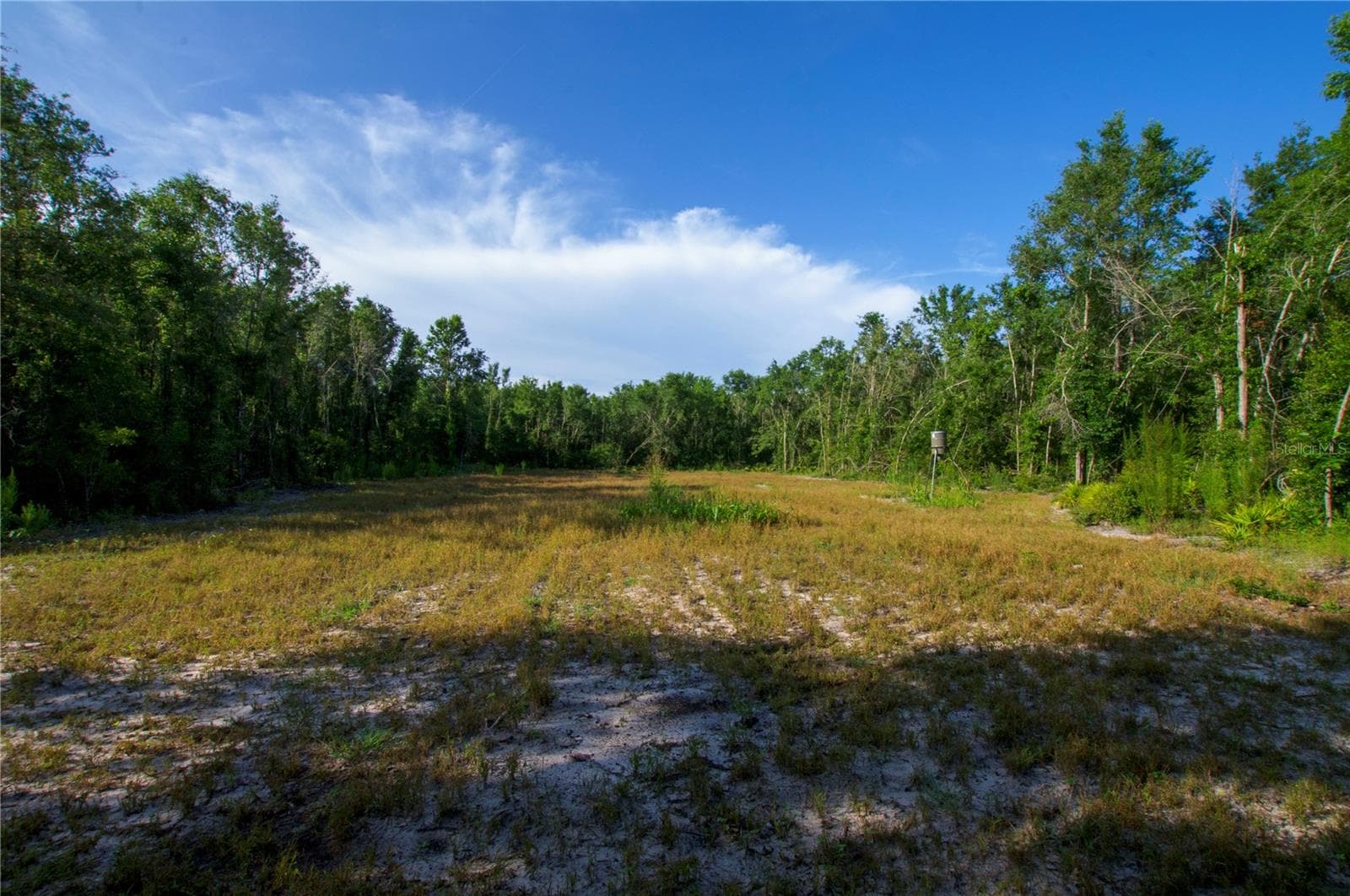 Land at 18233 185TH RD, LIVE OAK, photo 55 of 96
