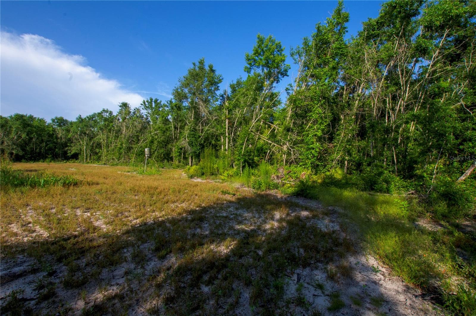 Land at 18233 185TH RD, LIVE OAK, photo 56 of 96
