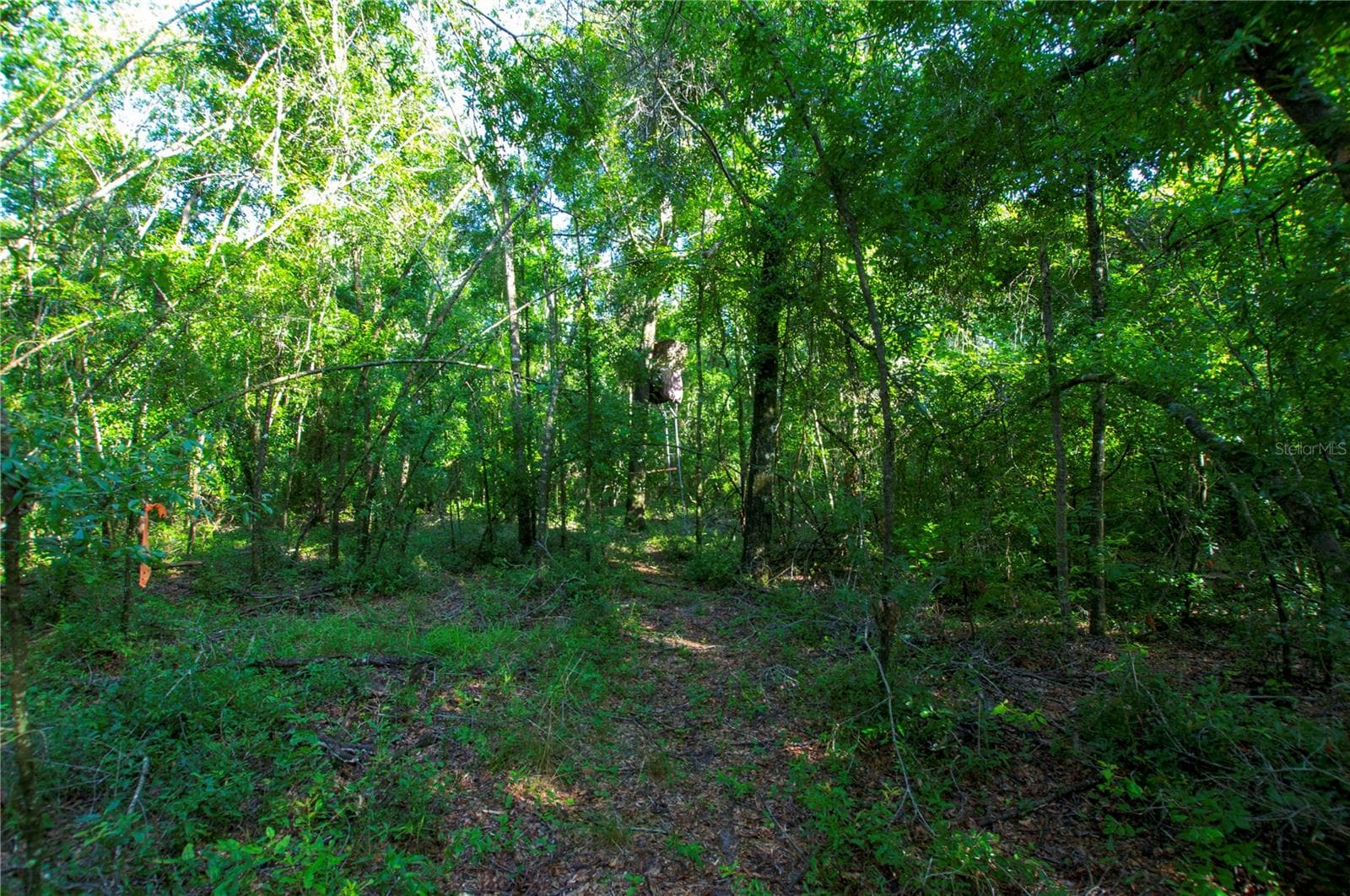 Land at 18233 185TH RD, LIVE OAK, photo 58 of 96