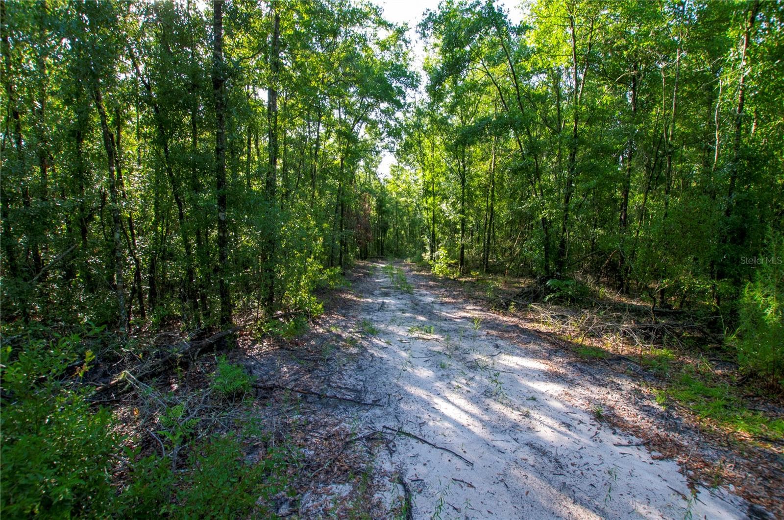Land at 18233 185TH RD, LIVE OAK, photo 64 of 96