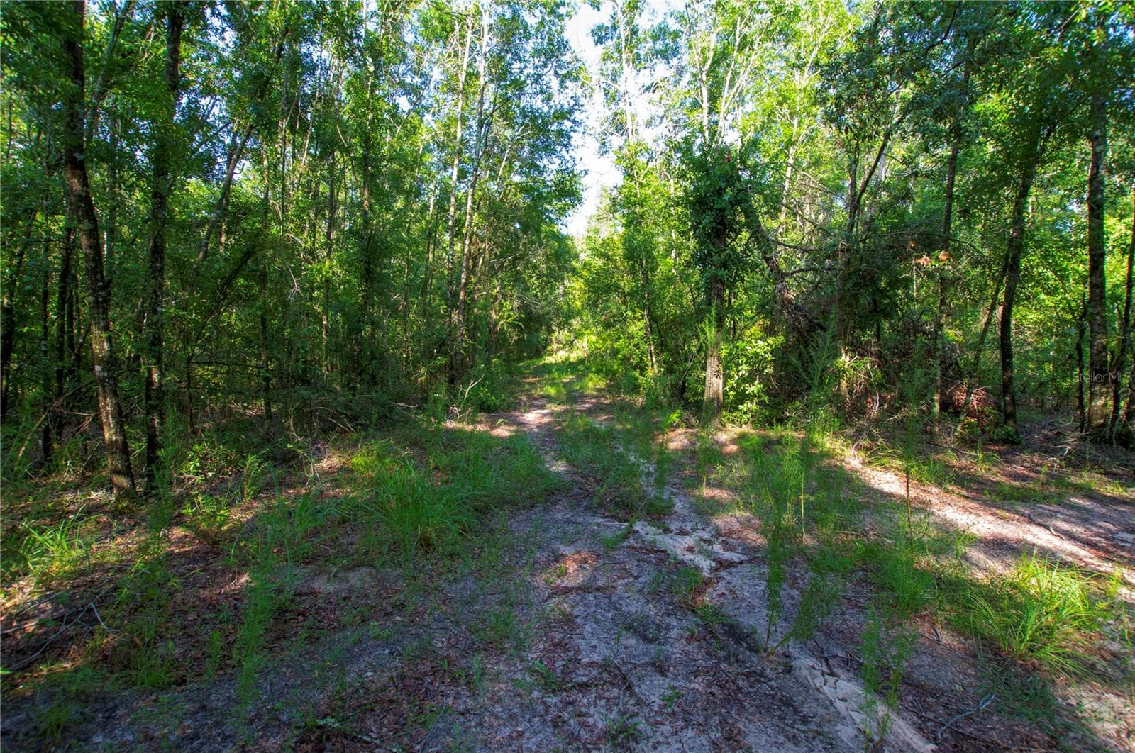 Land at 18233 185TH RD, LIVE OAK, photo 71 of 96