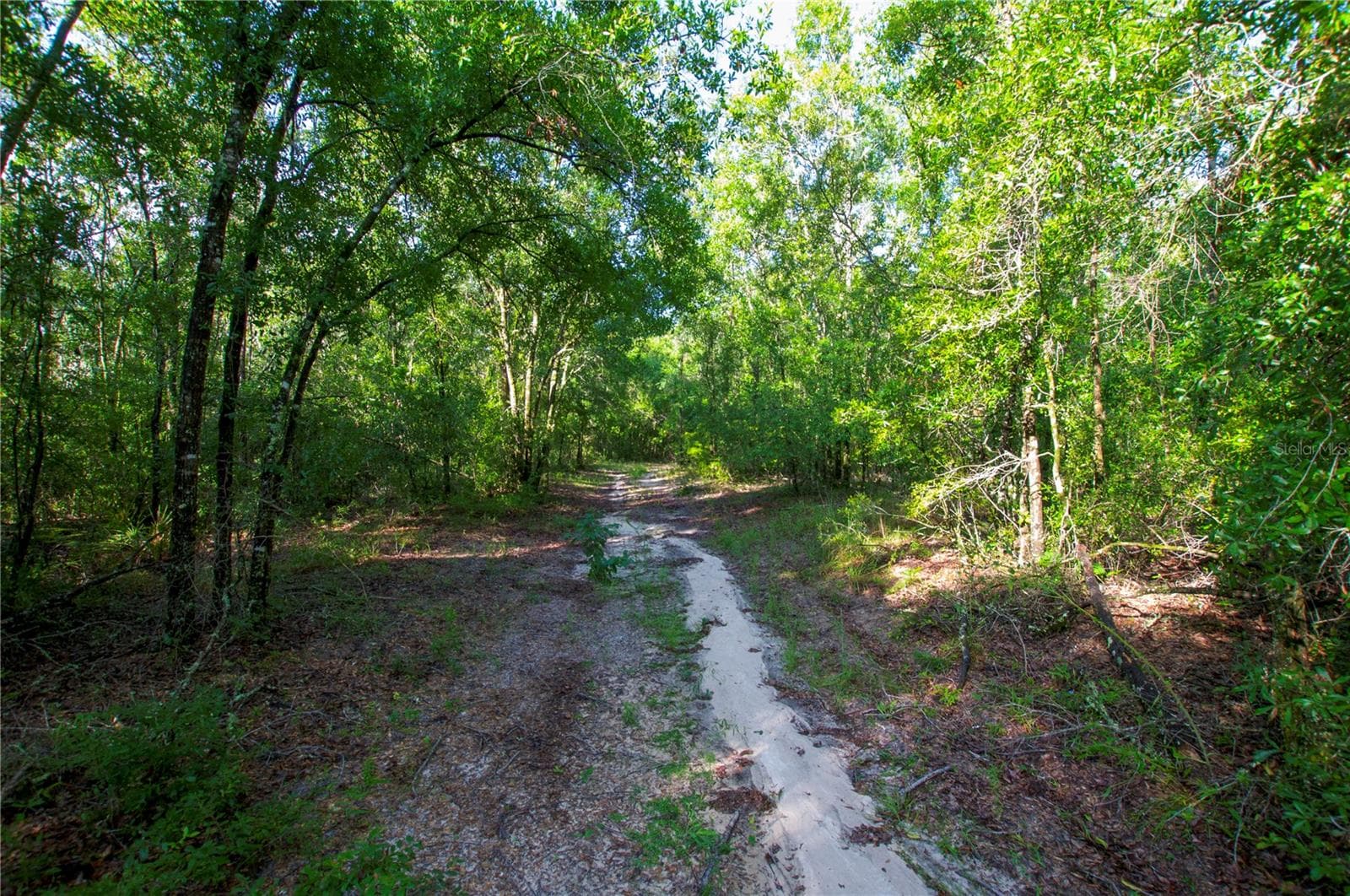 Land at 18233 185TH RD, LIVE OAK, photo 72 of 96