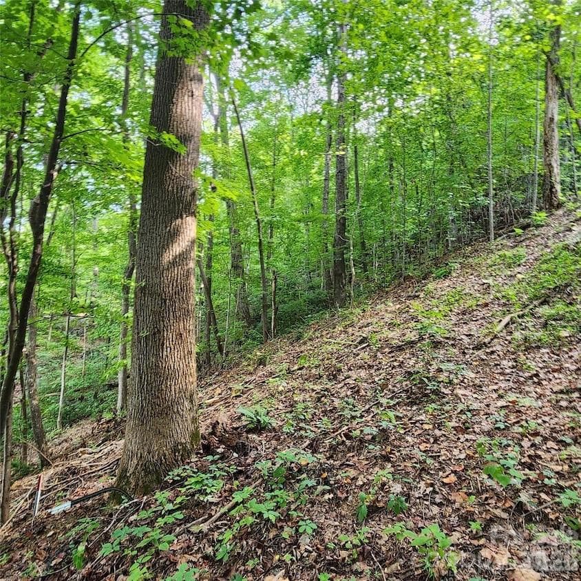 Lot at Lake Lure, photo 2 of 4