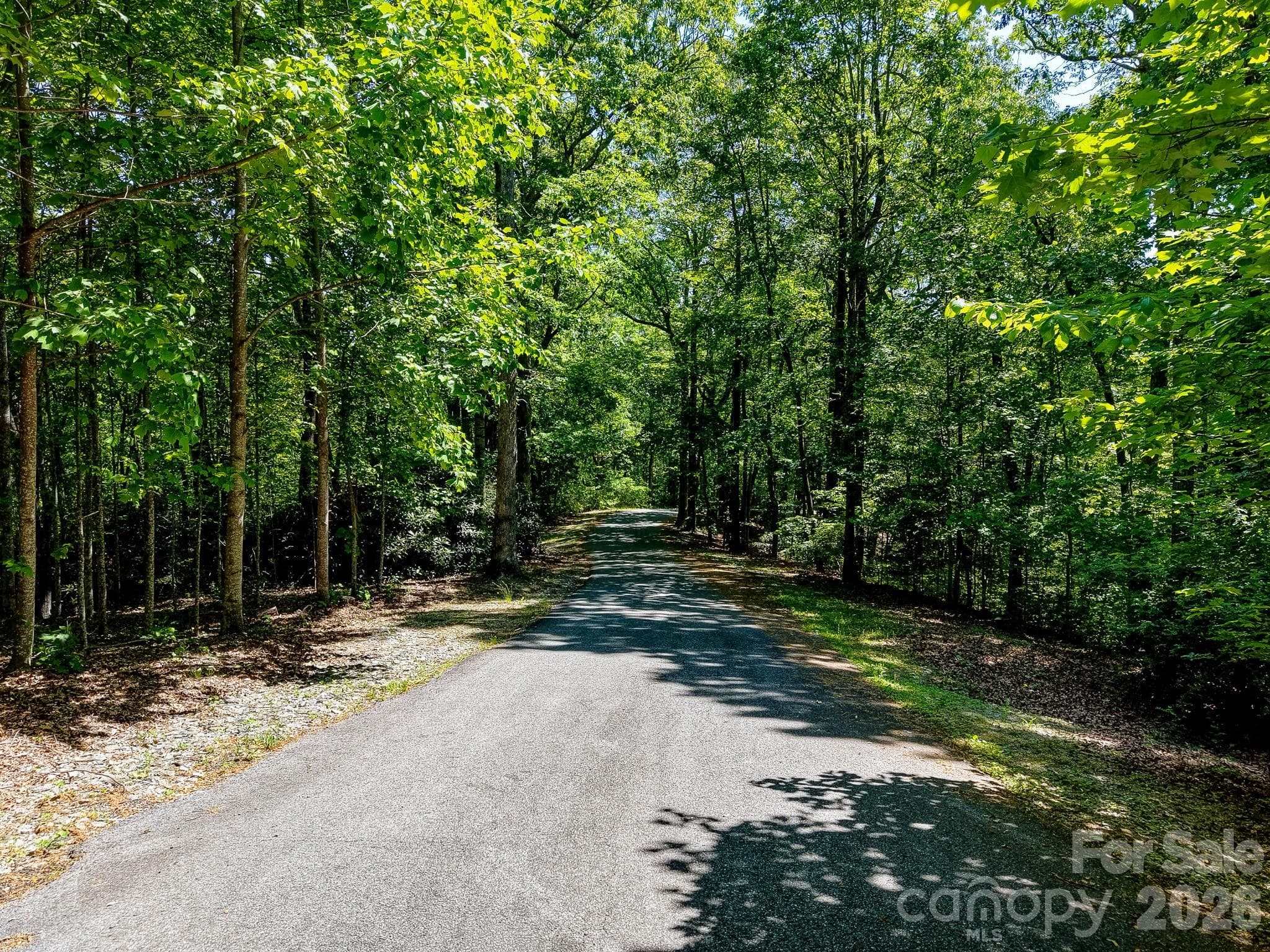 99999 Black Bear Ridge Trail