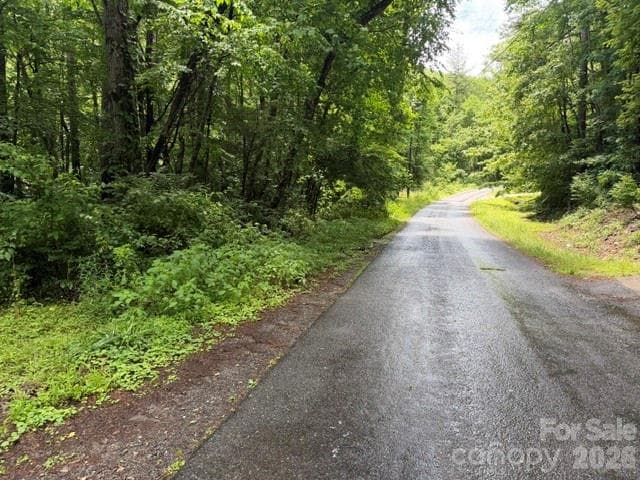 Lot at Asheville, photo 3 of 4