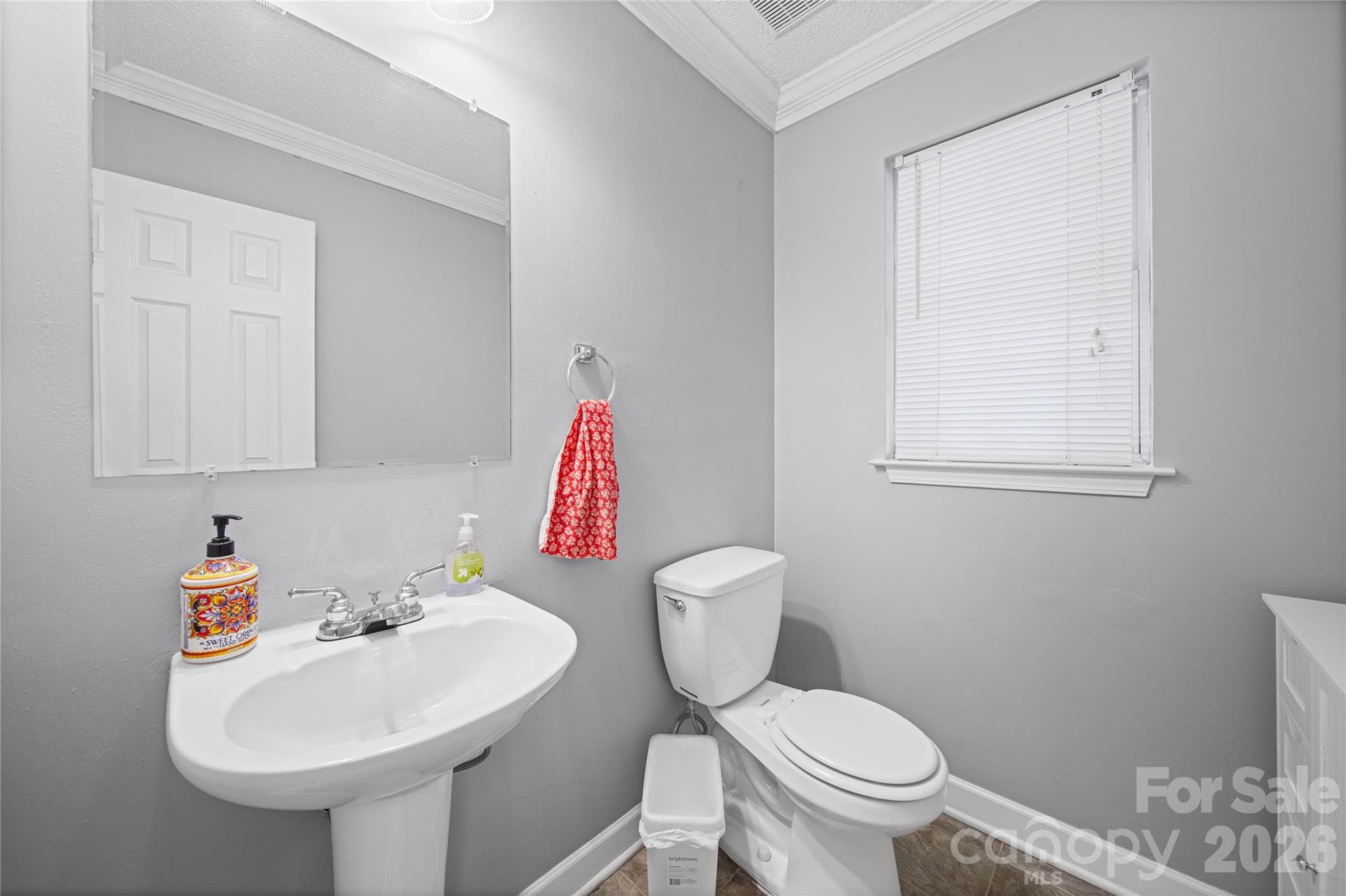 Single Family Residence at 1309 Winding Branch Court, Charlotte, photo 4 of 34