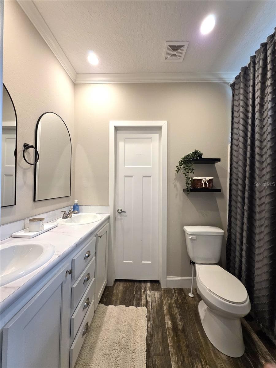 Jack & Jill bathroom - 10617 SKEWLEE GARDENS DR, THONOTOSASSA