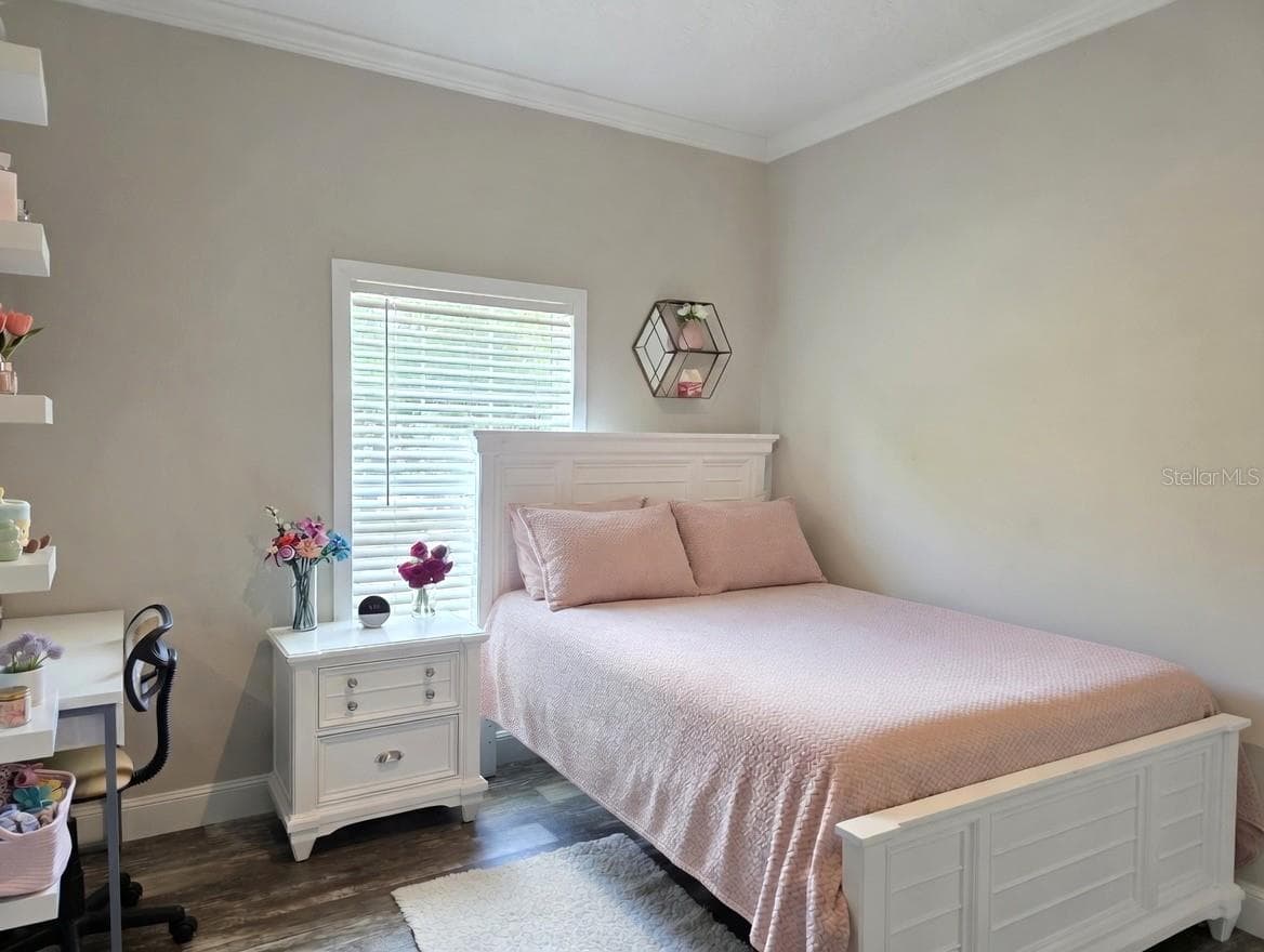 Bedroom 2 - 10617 SKEWLEE GARDENS DR, THONOTOSASSA