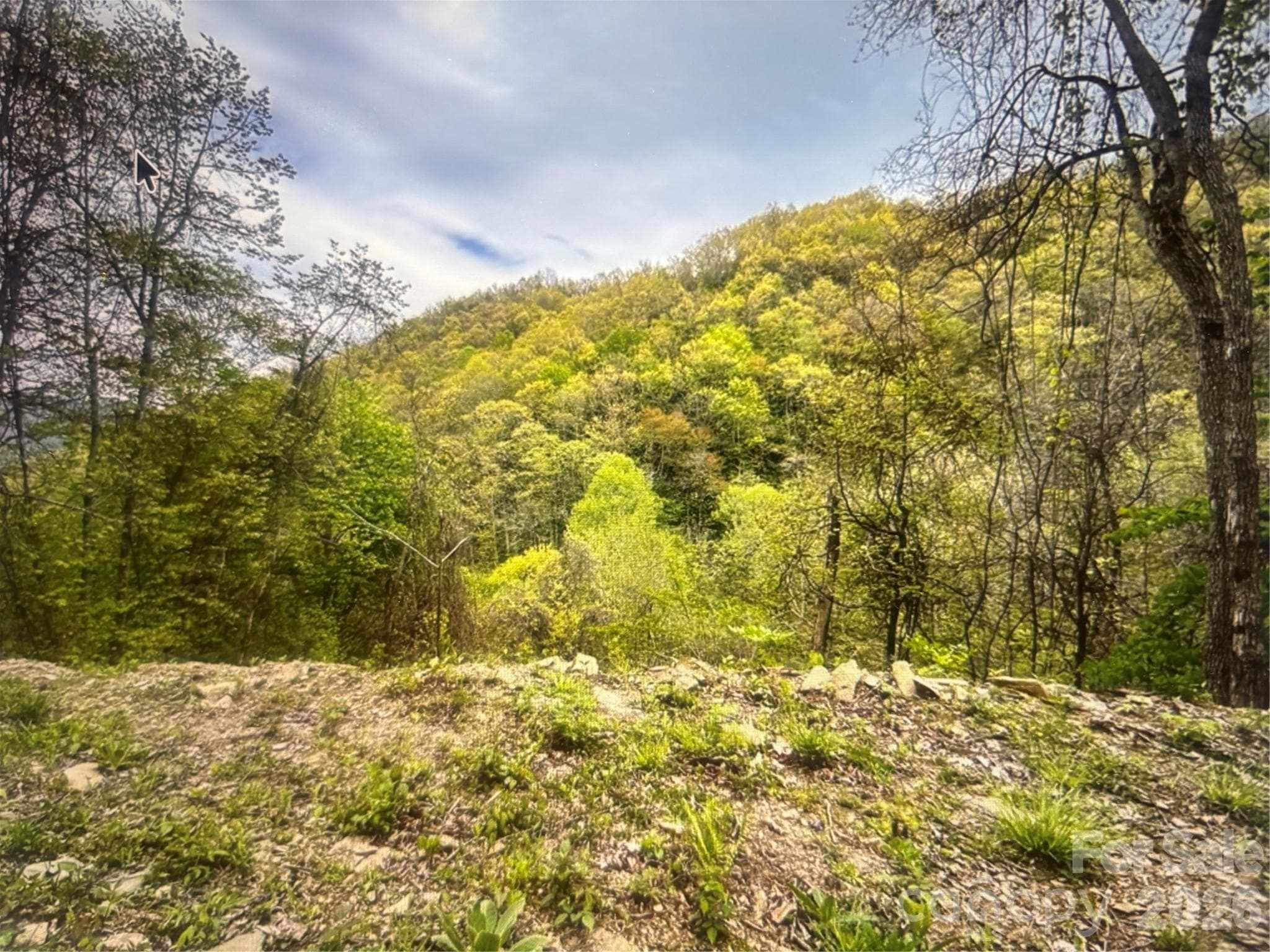 Lot at 0 Huckleberry Walk, Bryson City, photo 4 of 10