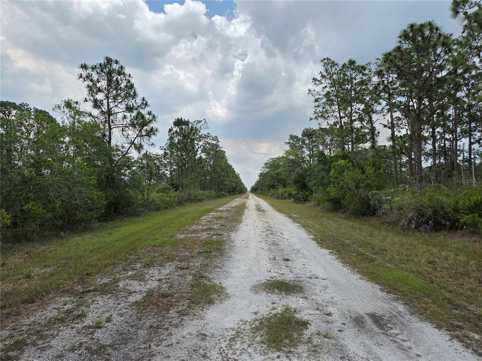 Street view - 915 LAGUNA DR, INDIAN LAKE ESTATES