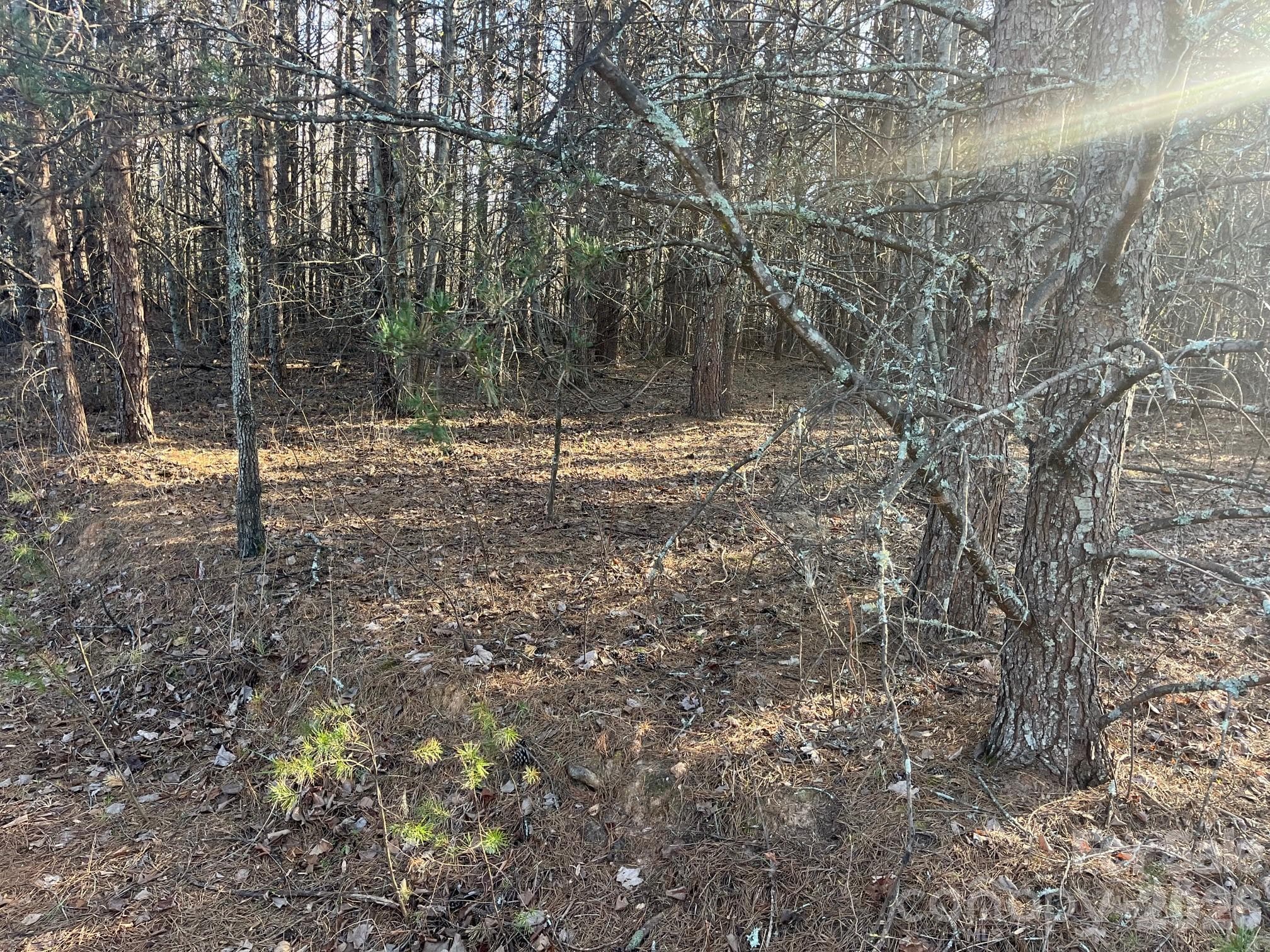 Acreage at Nebo, photo 2 of 22