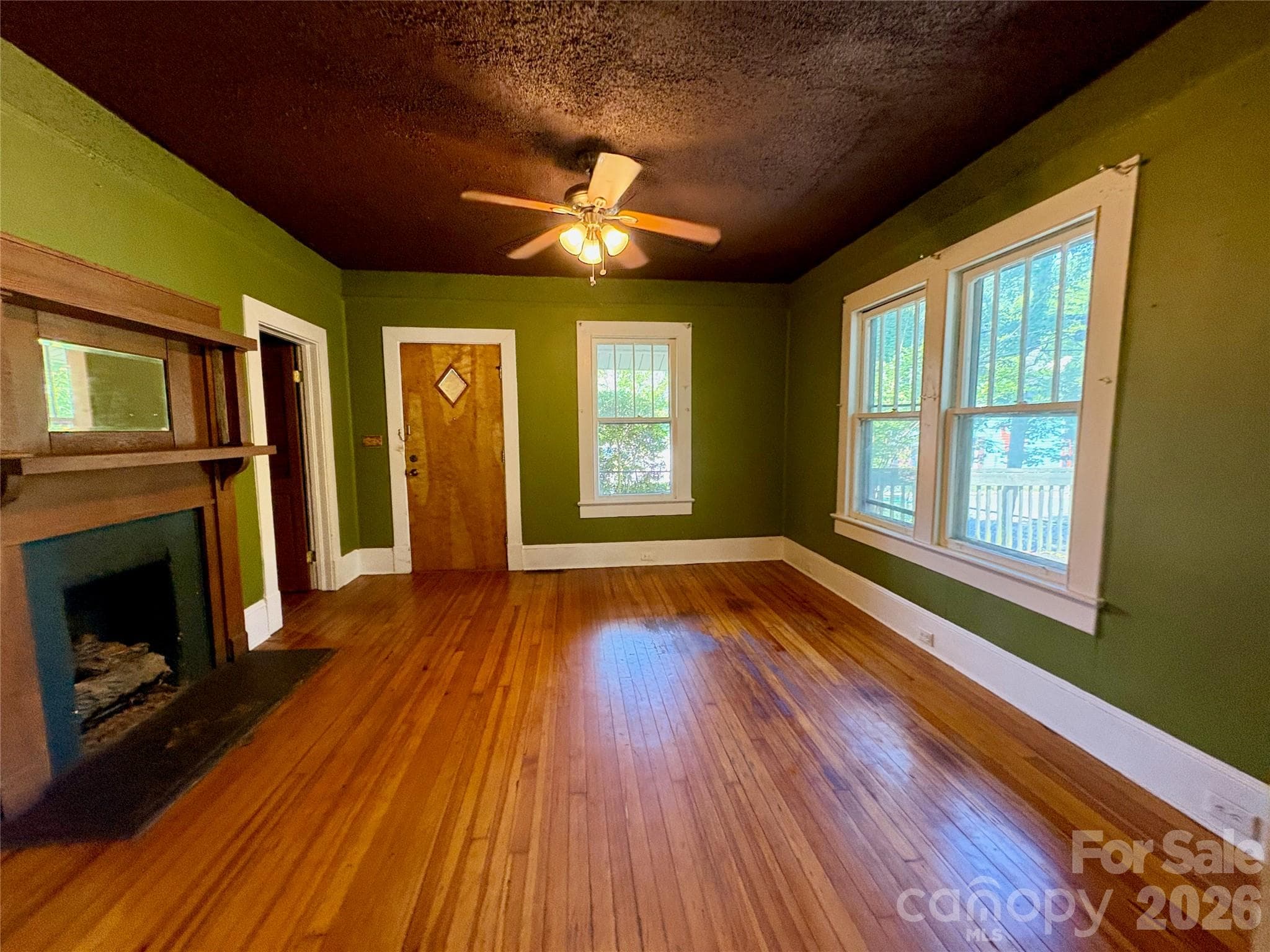 Single Family Residence at Asheville, photo 6 of 38