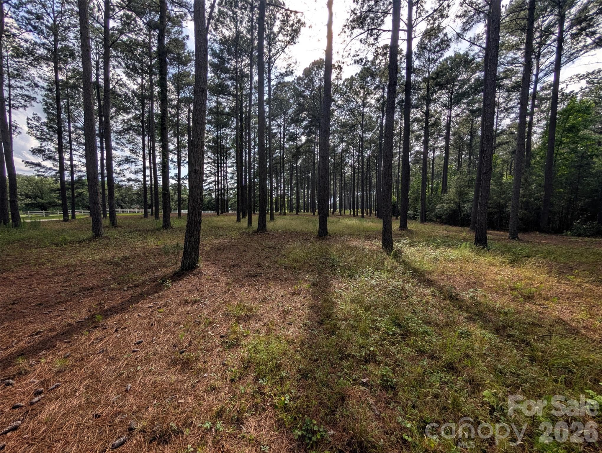 Acreage at York, photo 4 of 5