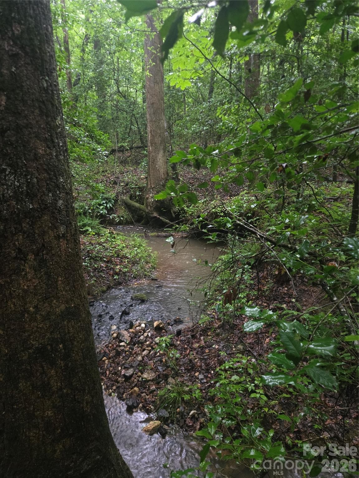 Acreage at Mooresboro, photo 7 of 17