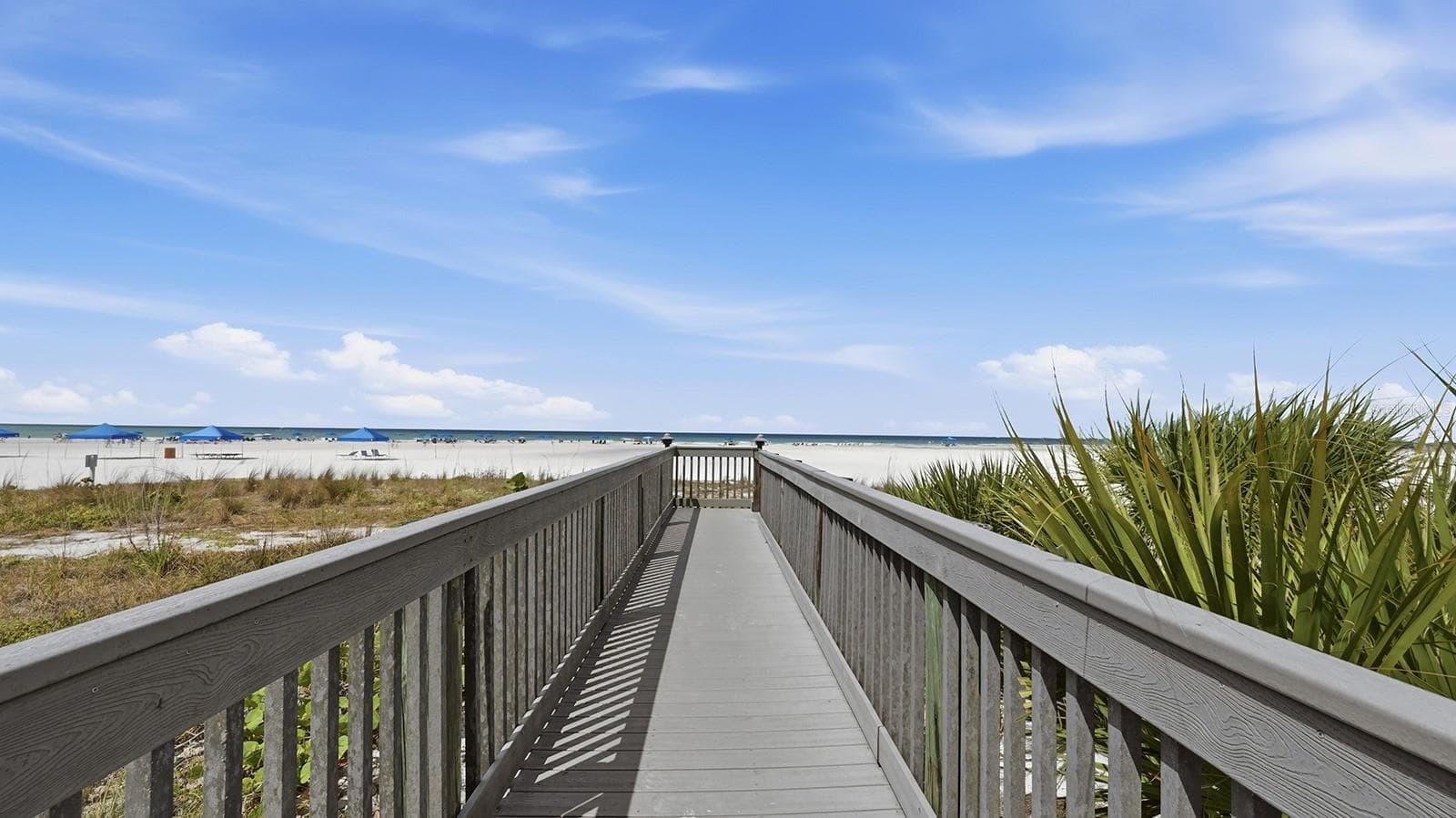 Boardwalk to Beach and Sunset Viewing Deck - 5880 MIDNIGHT PASS RD #907, SARASOTA