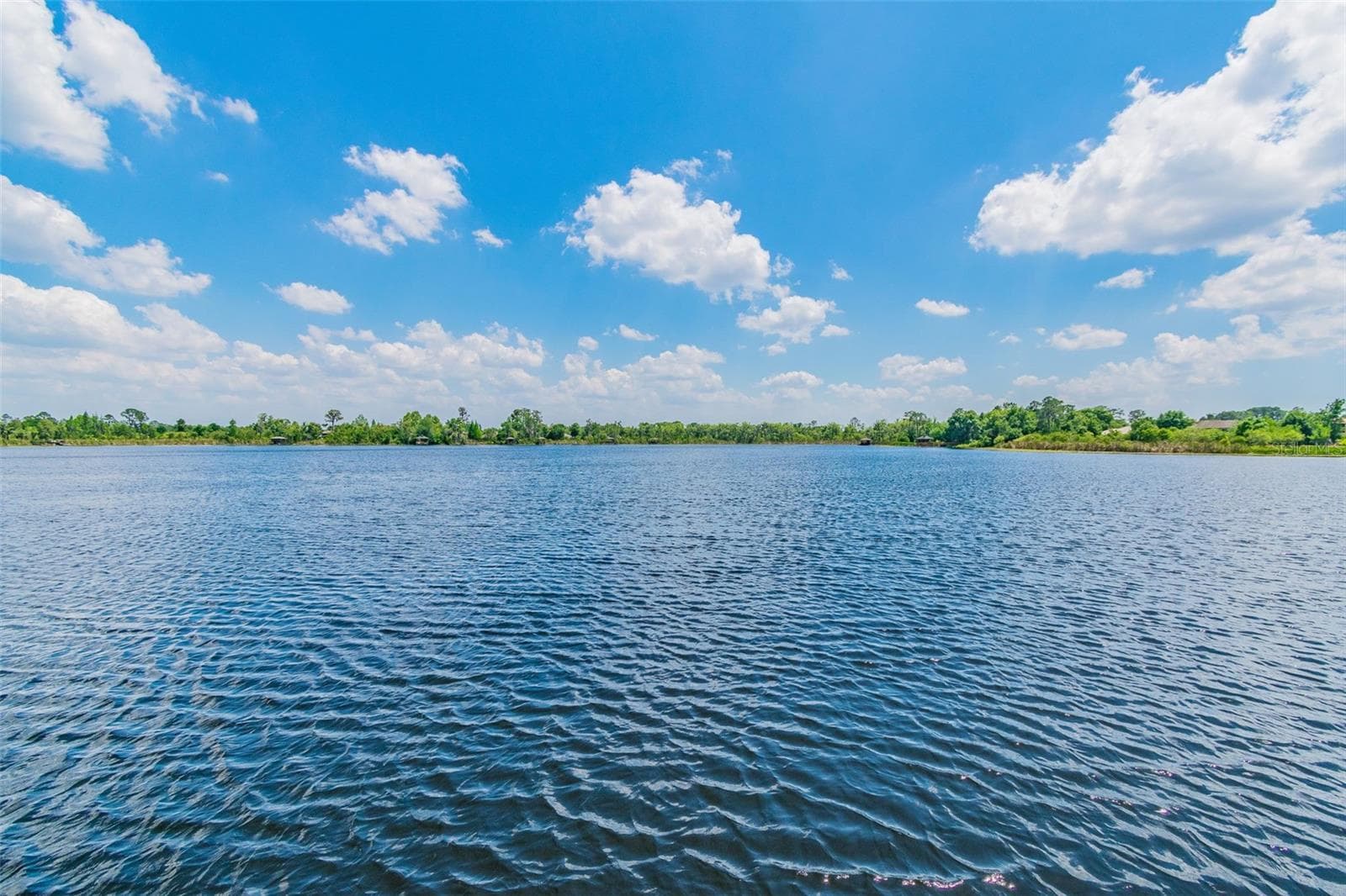 Single Family Residence at 21753 GARDEN WALK LOOP, LAND O LAKES, photo 56 of 77