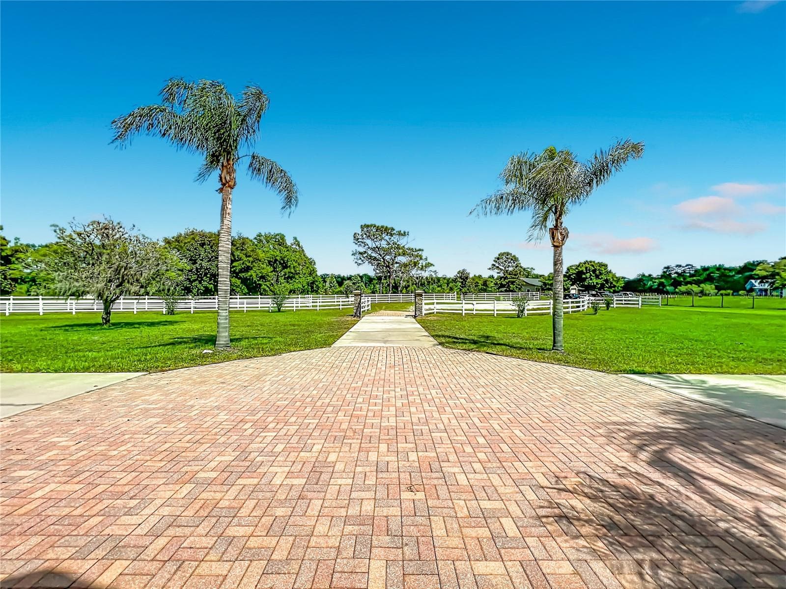 Front Yard - 2300 PINE MEADOWS PL, CHULUOTA